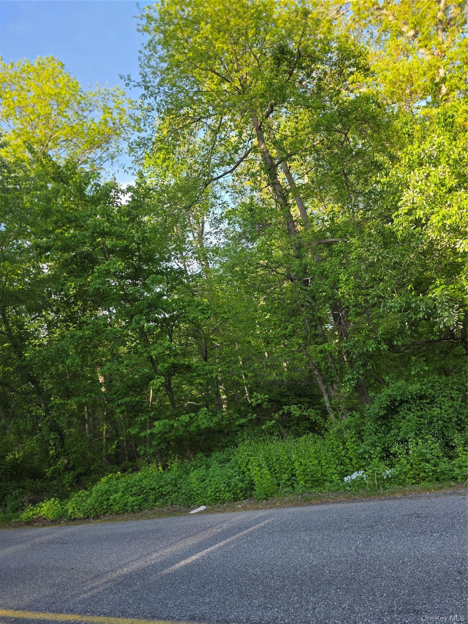 122 Archer Rd RD thumbnail 5
