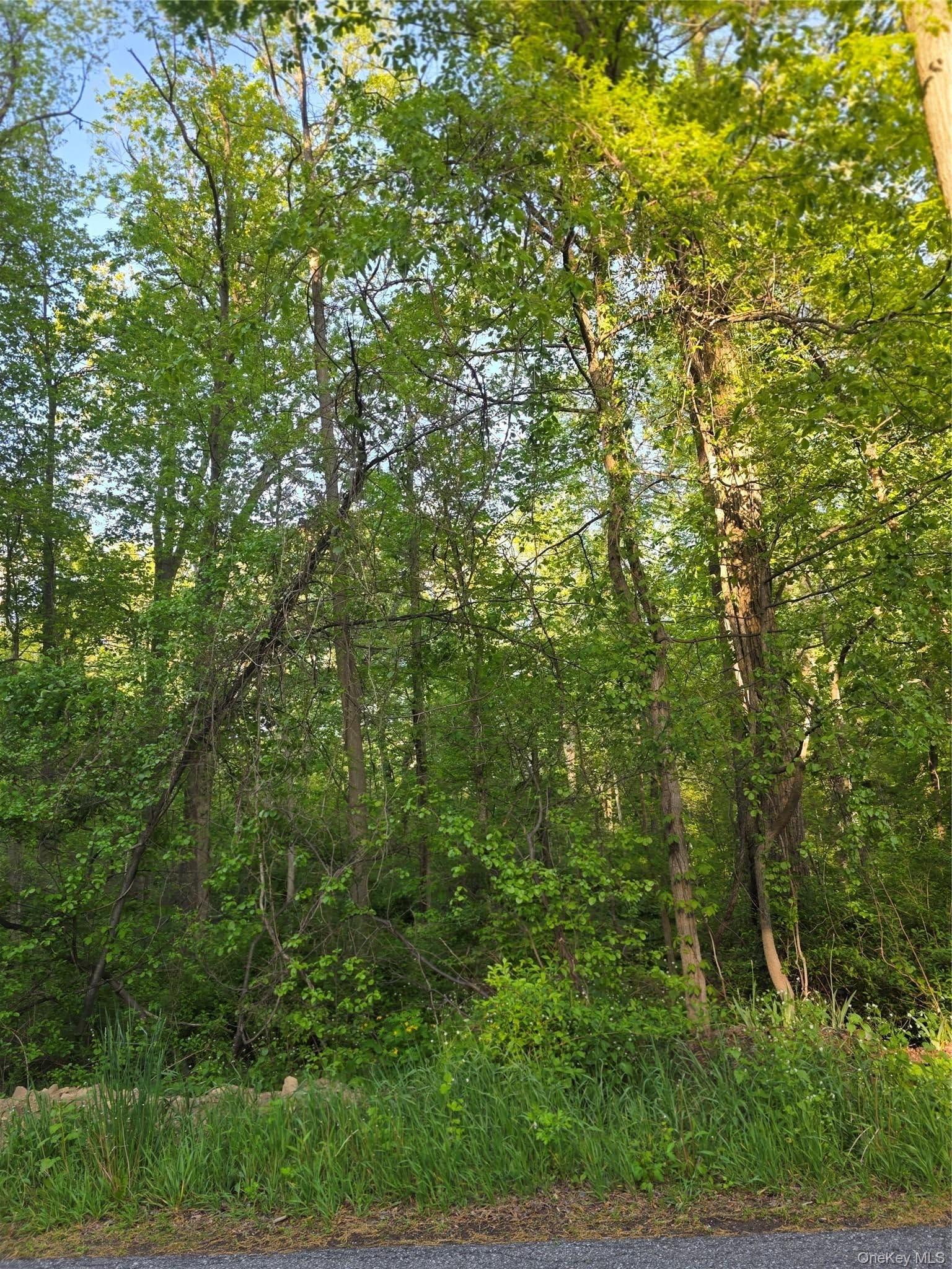 122 Archer Rd RD thumbnail 3