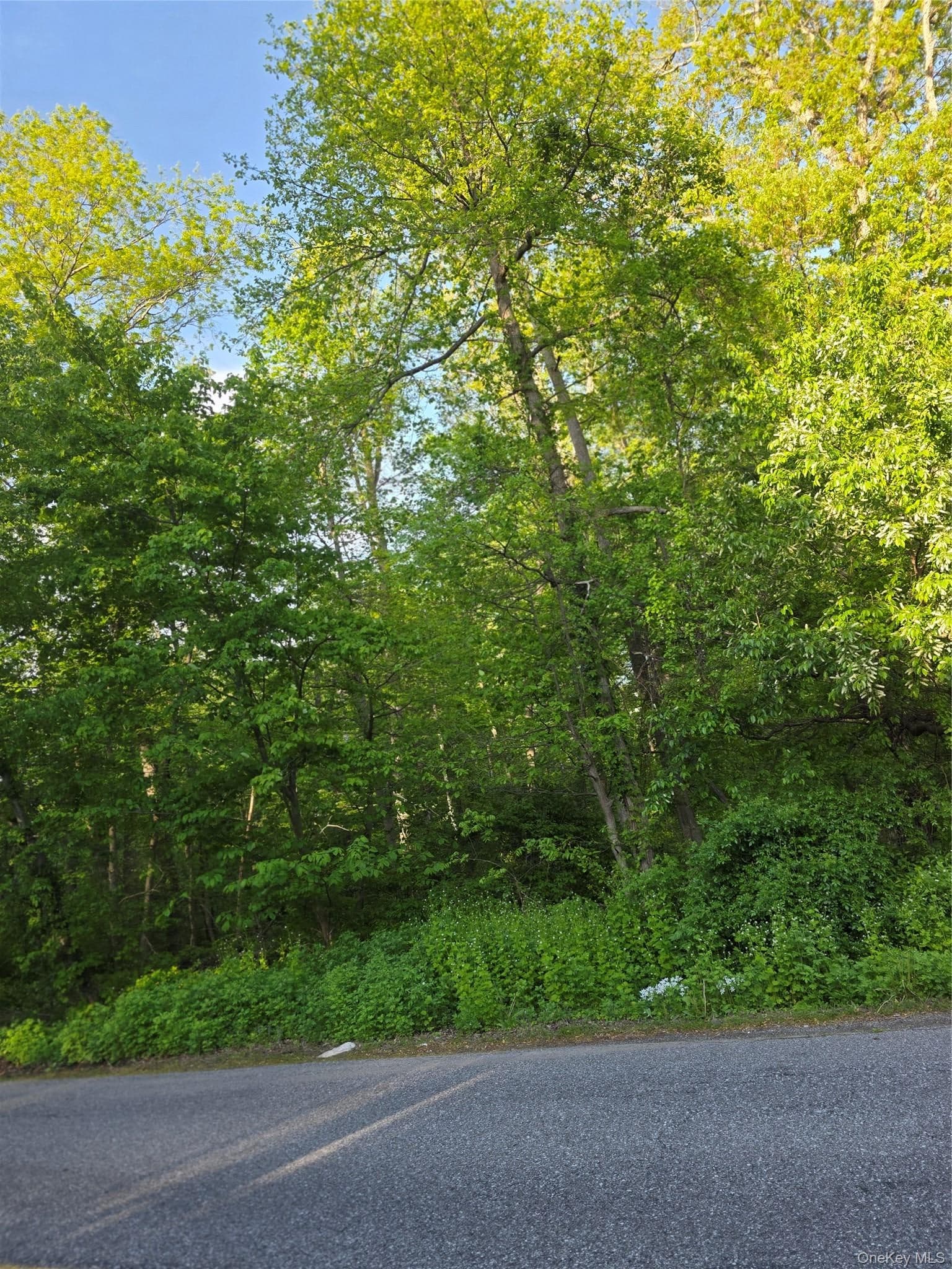 122 Archer Rd RD thumbnail 4