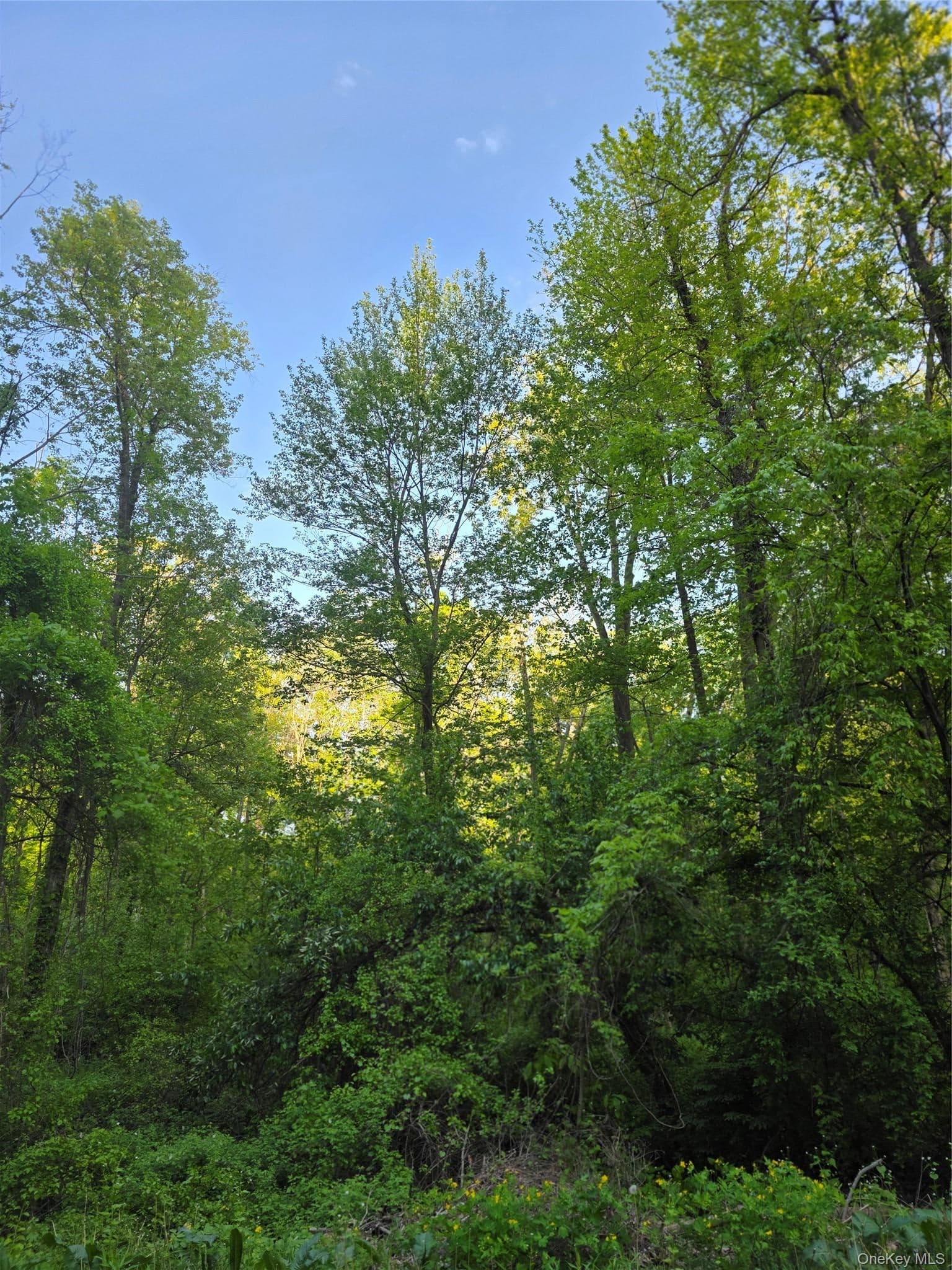 122 Archer Rd RD, Mahopac