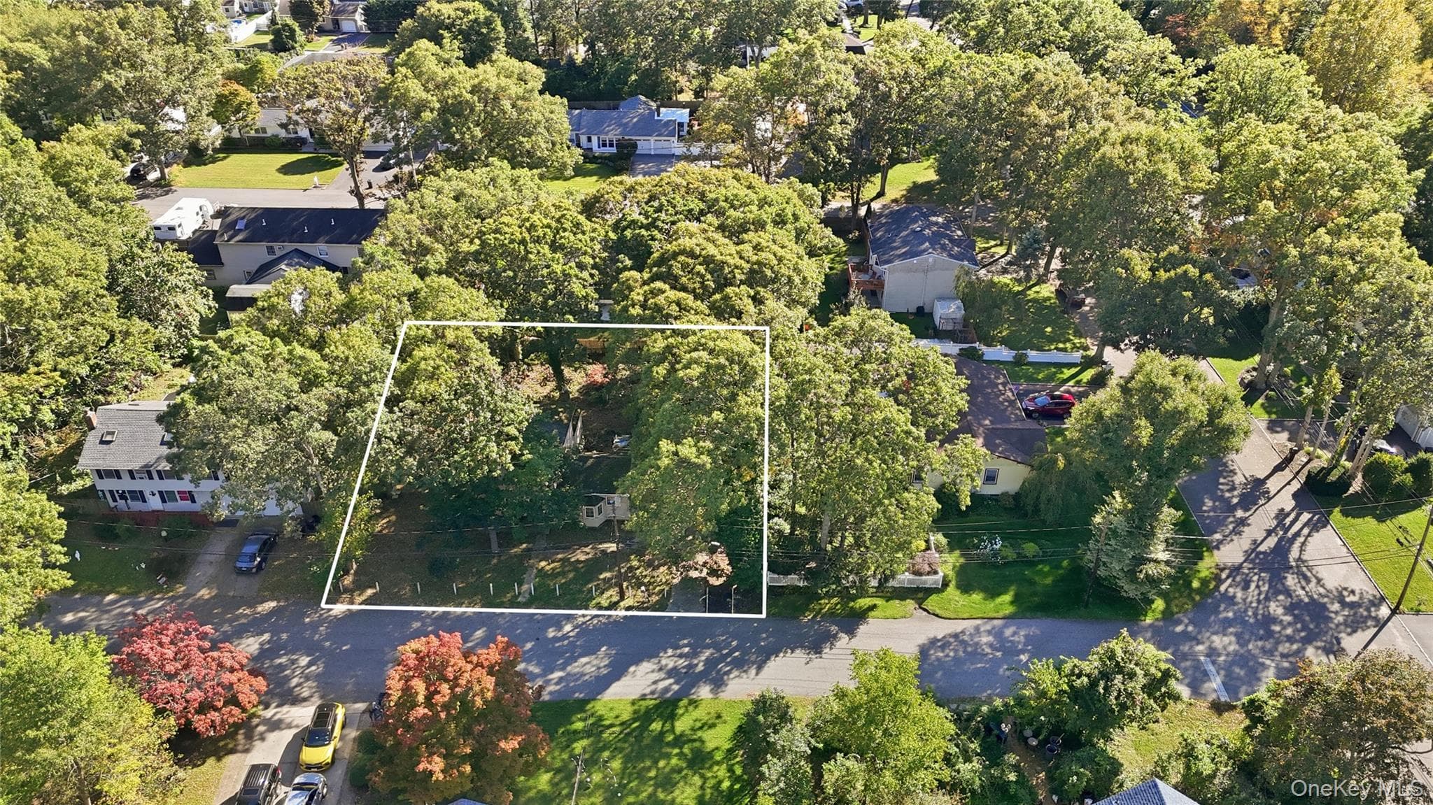 6 Cherry Lane photo 1