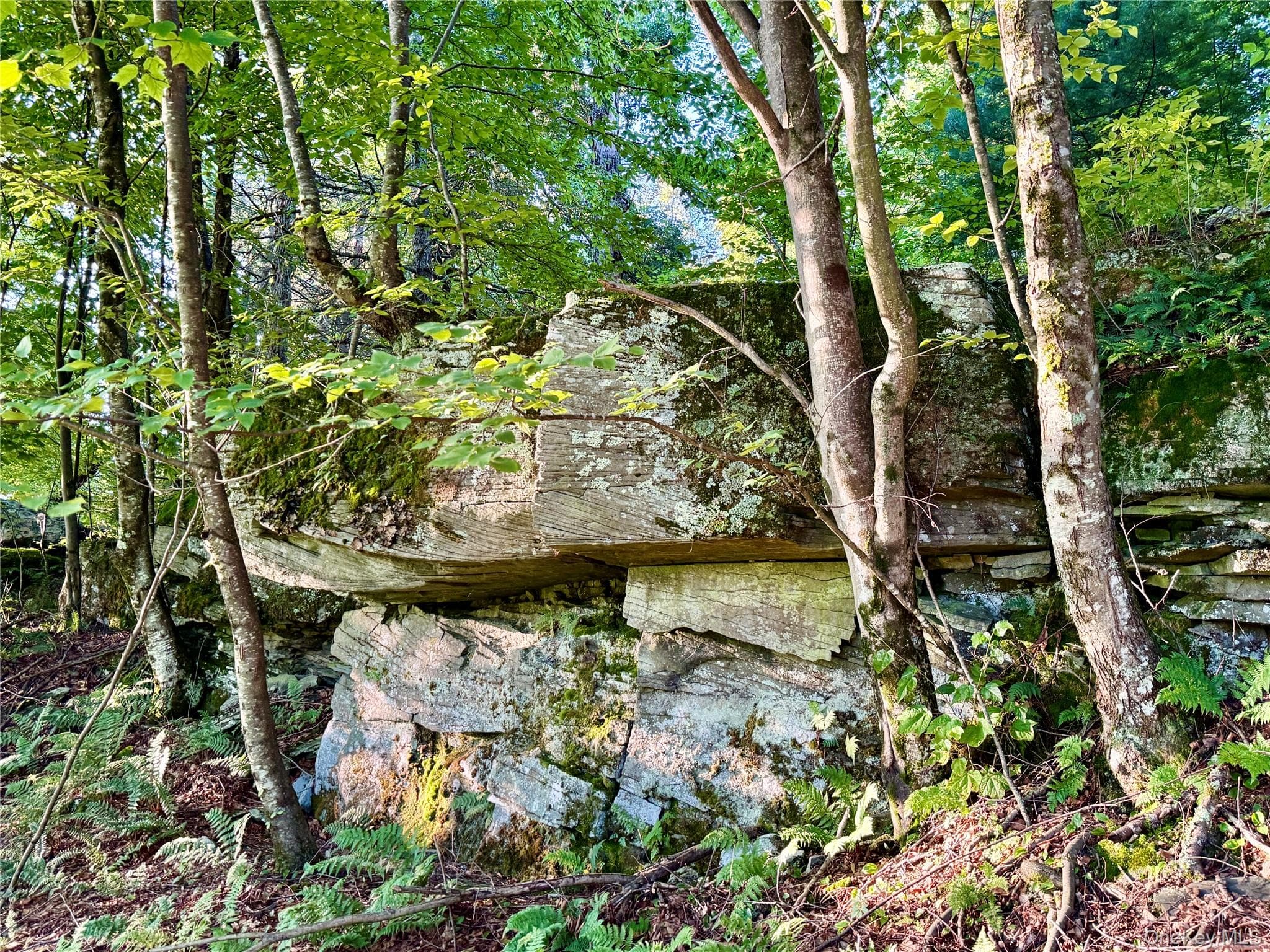 TBD State Route 55 And Smith Lane thumbnail 16