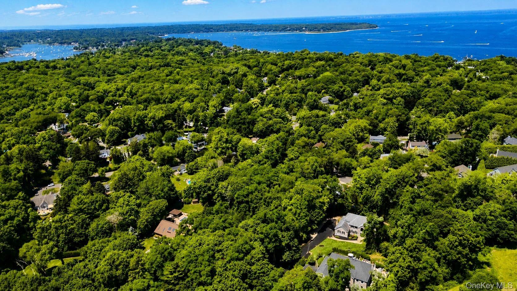 41 Cove Road thumbnail 8