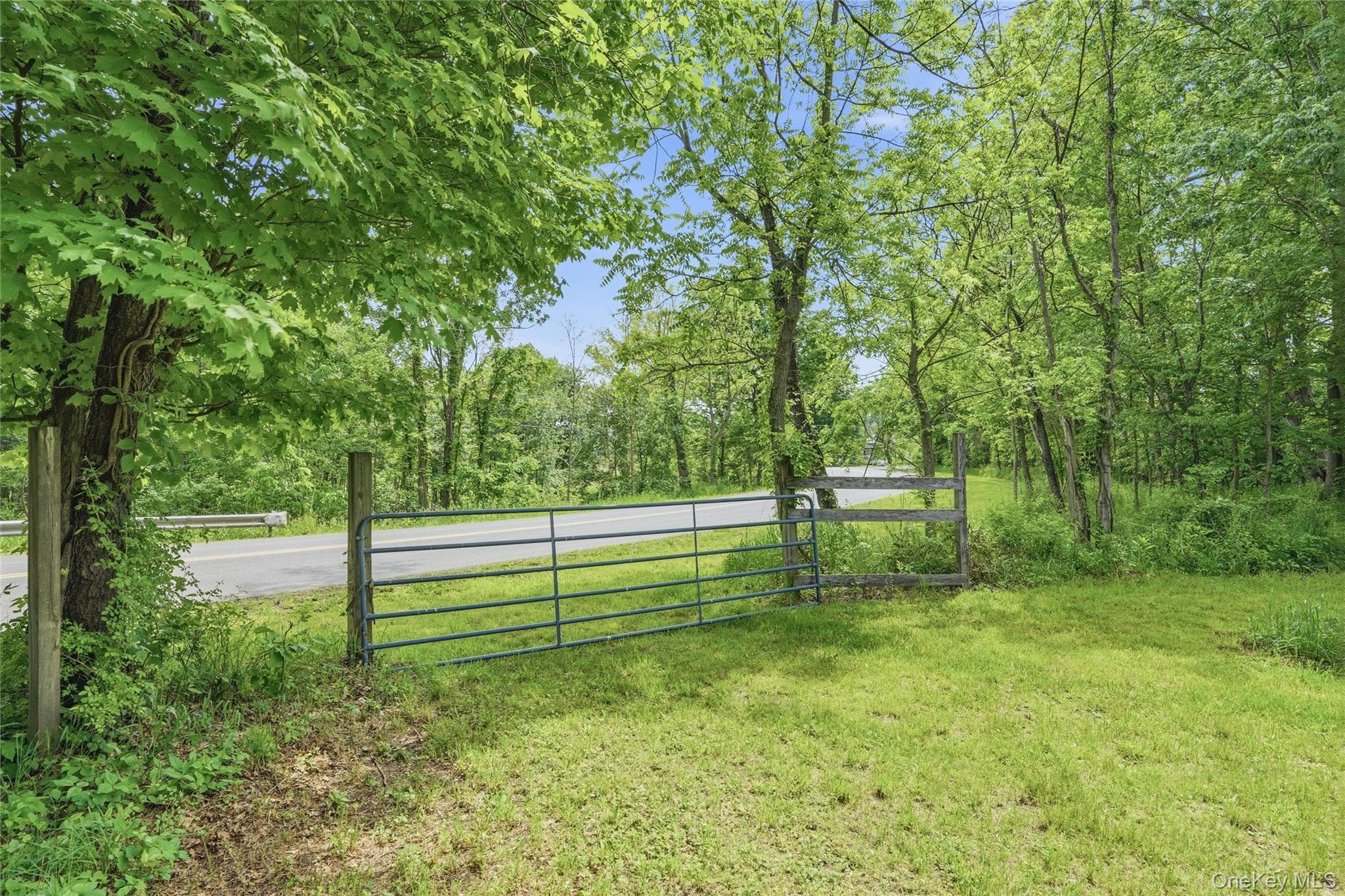 345 Drexel Drive thumbnail 28