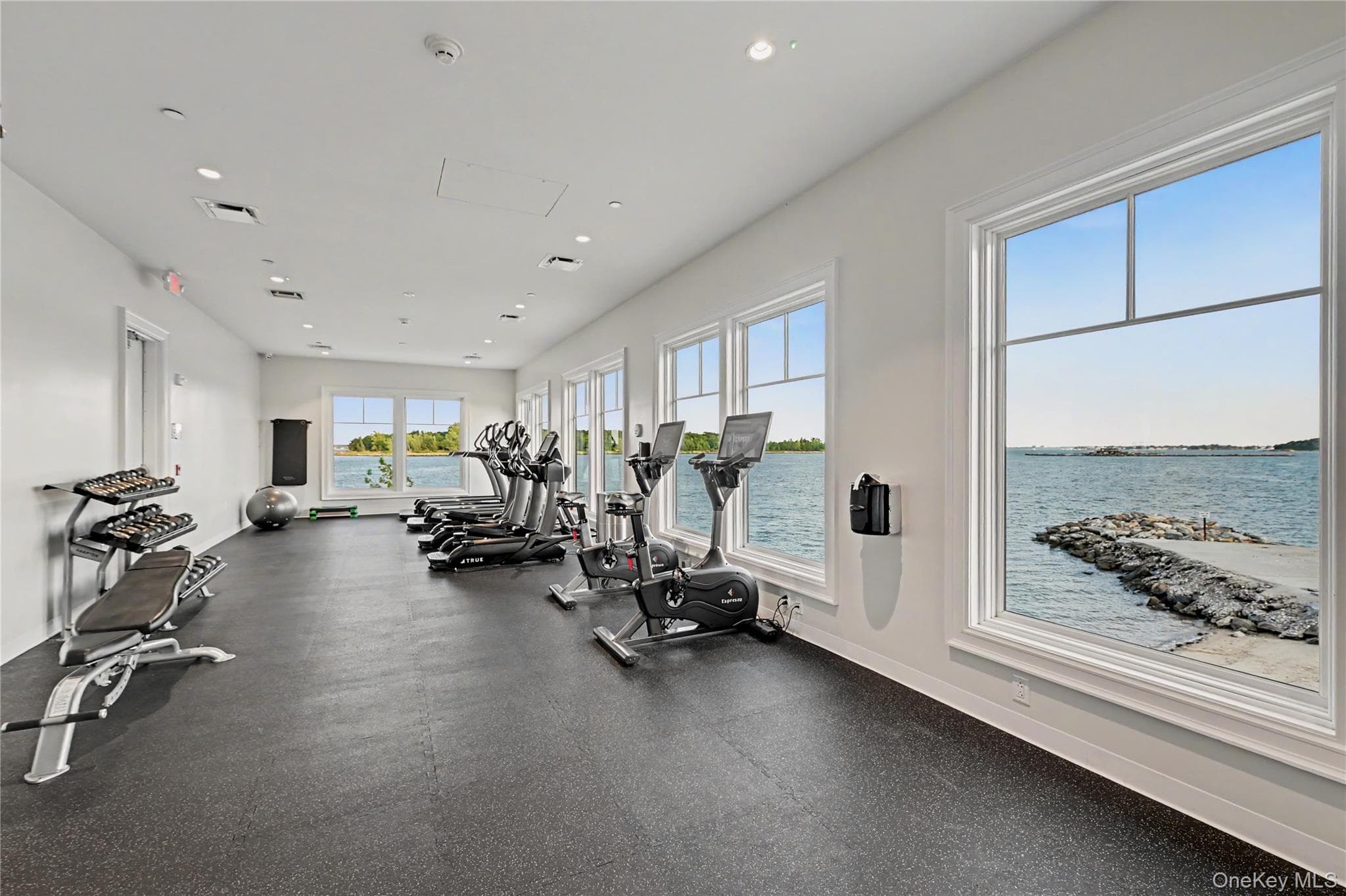 740 Davenport Avenue Unit: 1 thumbnail 38