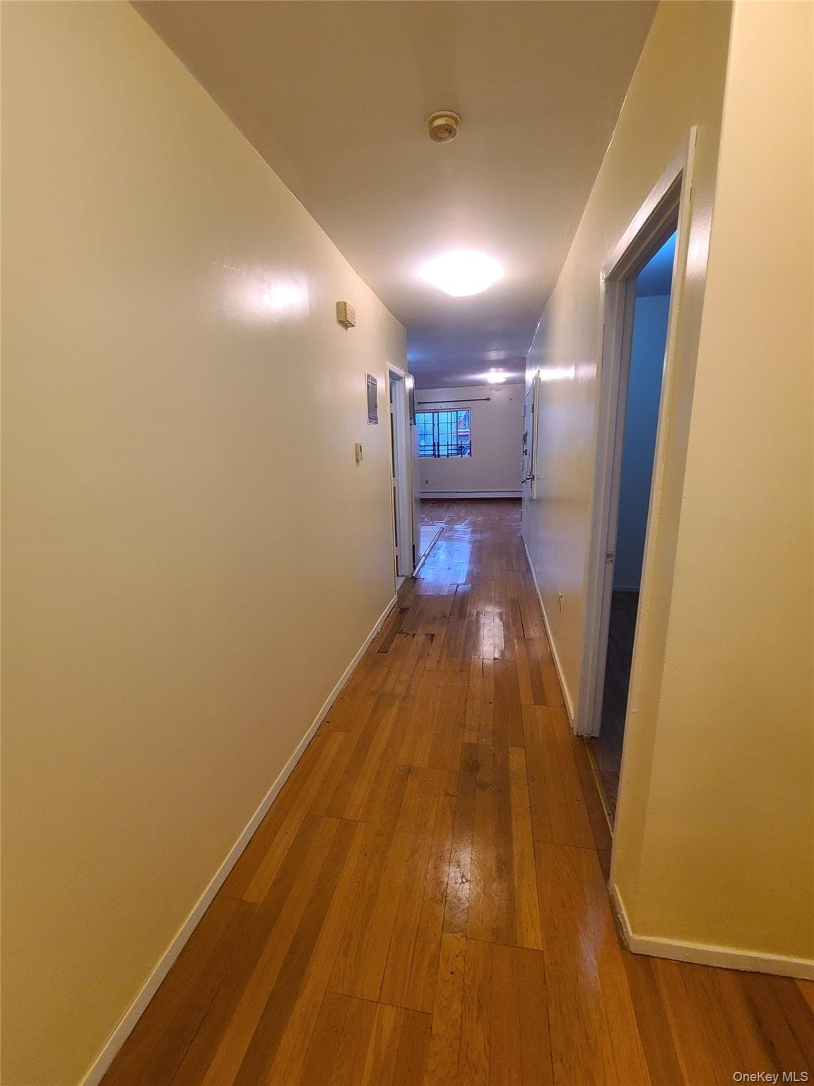 404 E 21st Street thumbnail 26