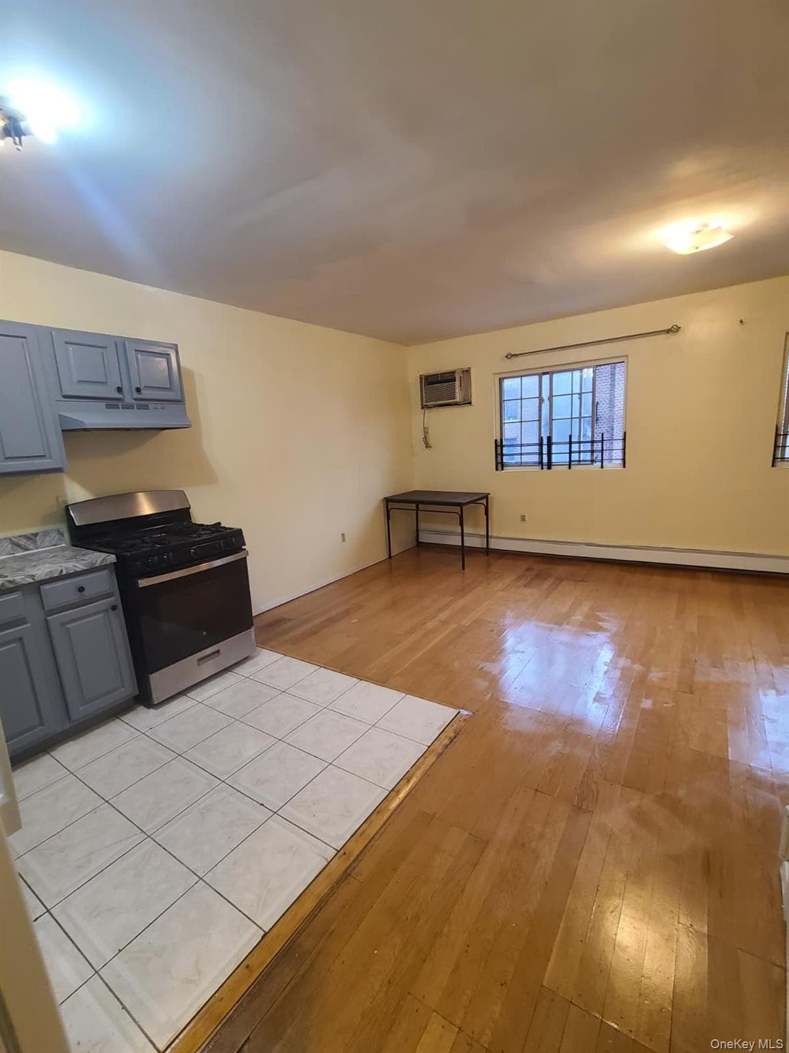 404 E 21st Street thumbnail 9