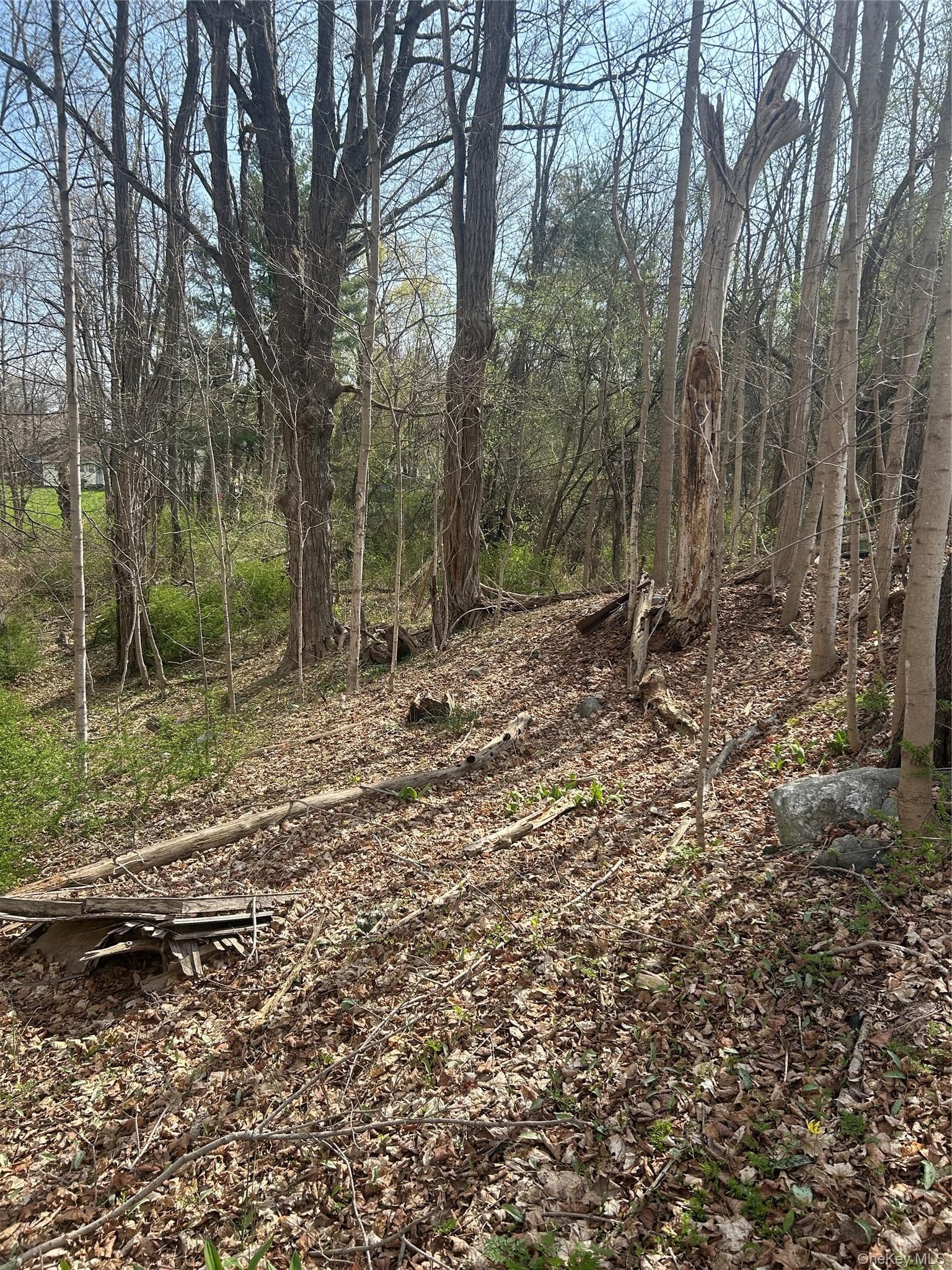 552 Holmes Road thumbnail 3