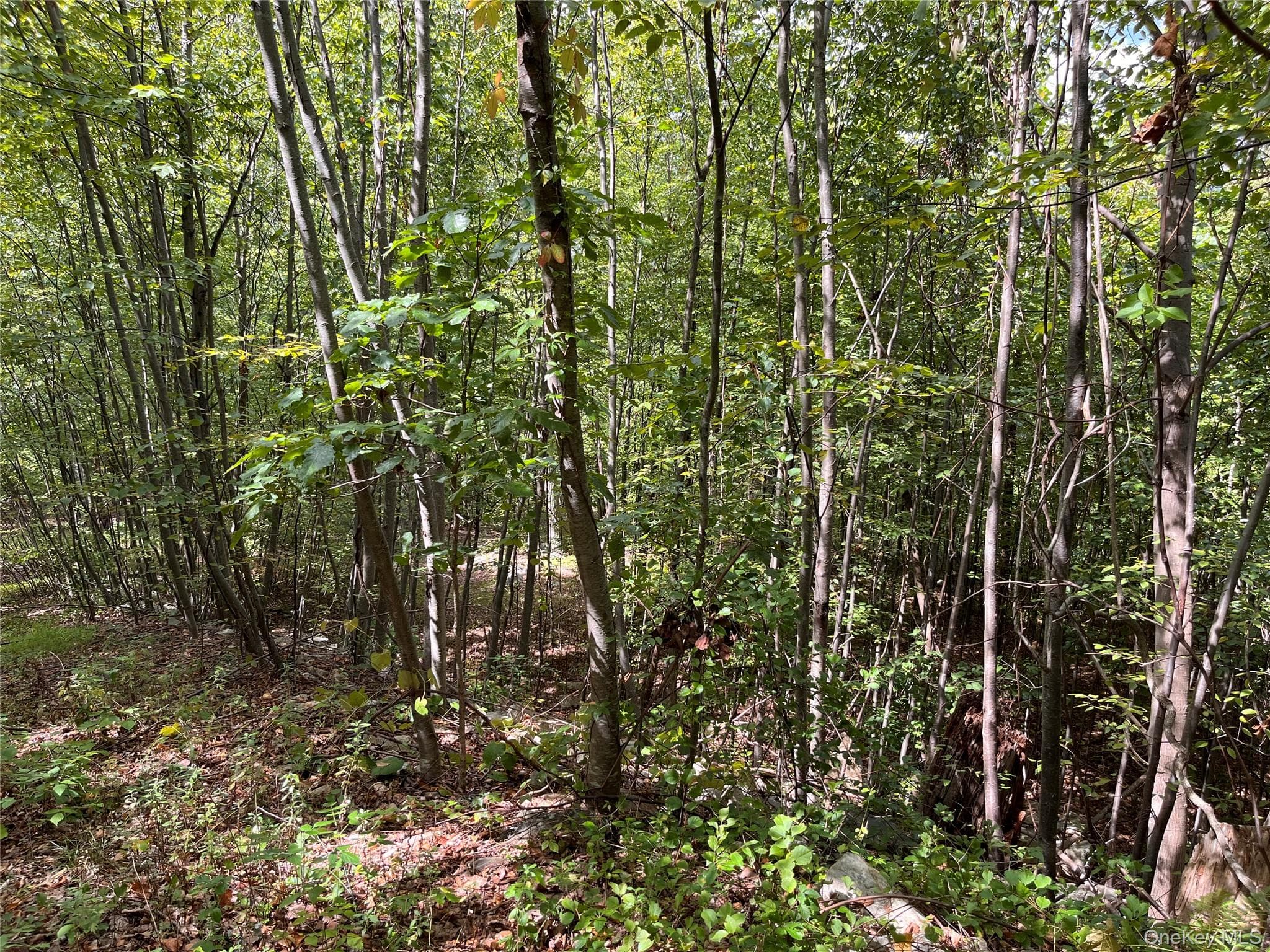 31 Ridgecrest Road thumbnail 4