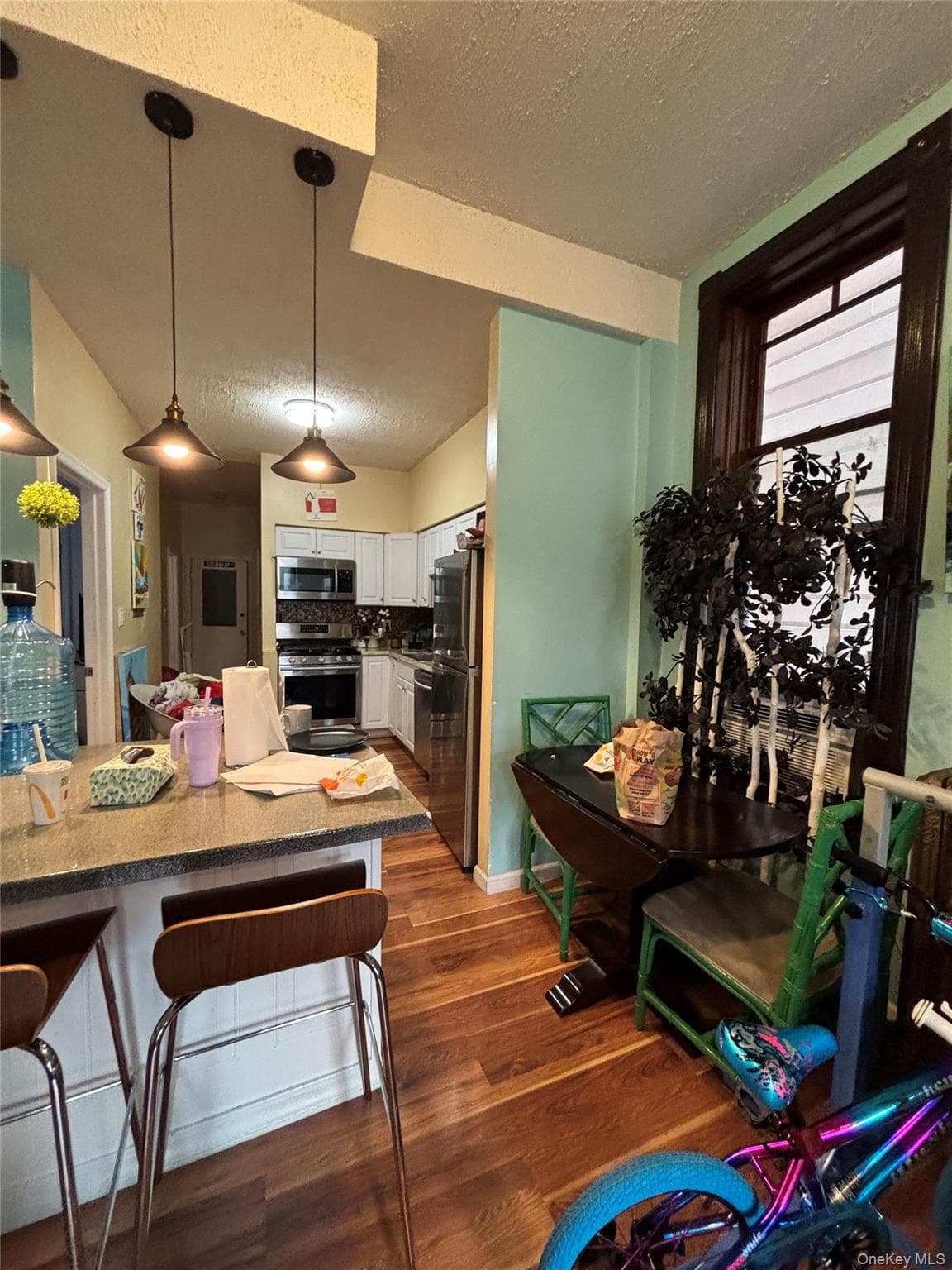 323 Clinton Avenue thumbnail 7