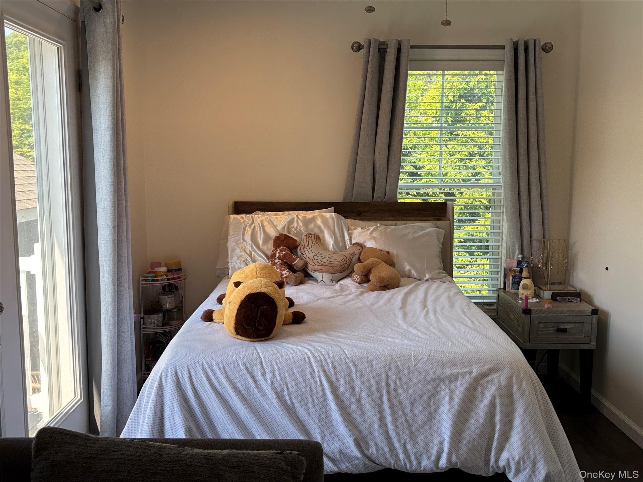 1661 Old Country Road Unit: 563 thumbnail 21