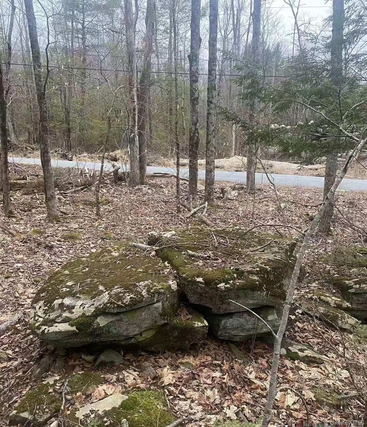 Ulster Heights Road, Ellenville
