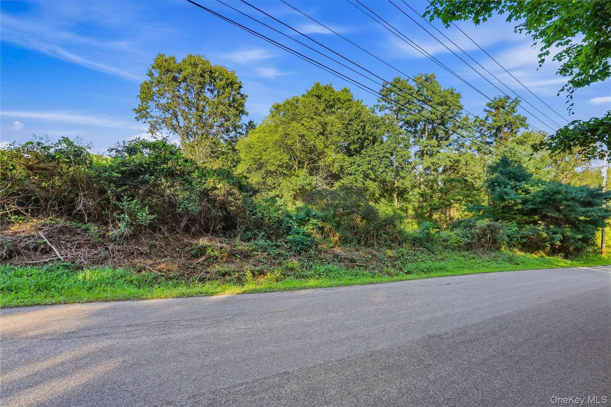 TBD Brookside Road thumbnail 12