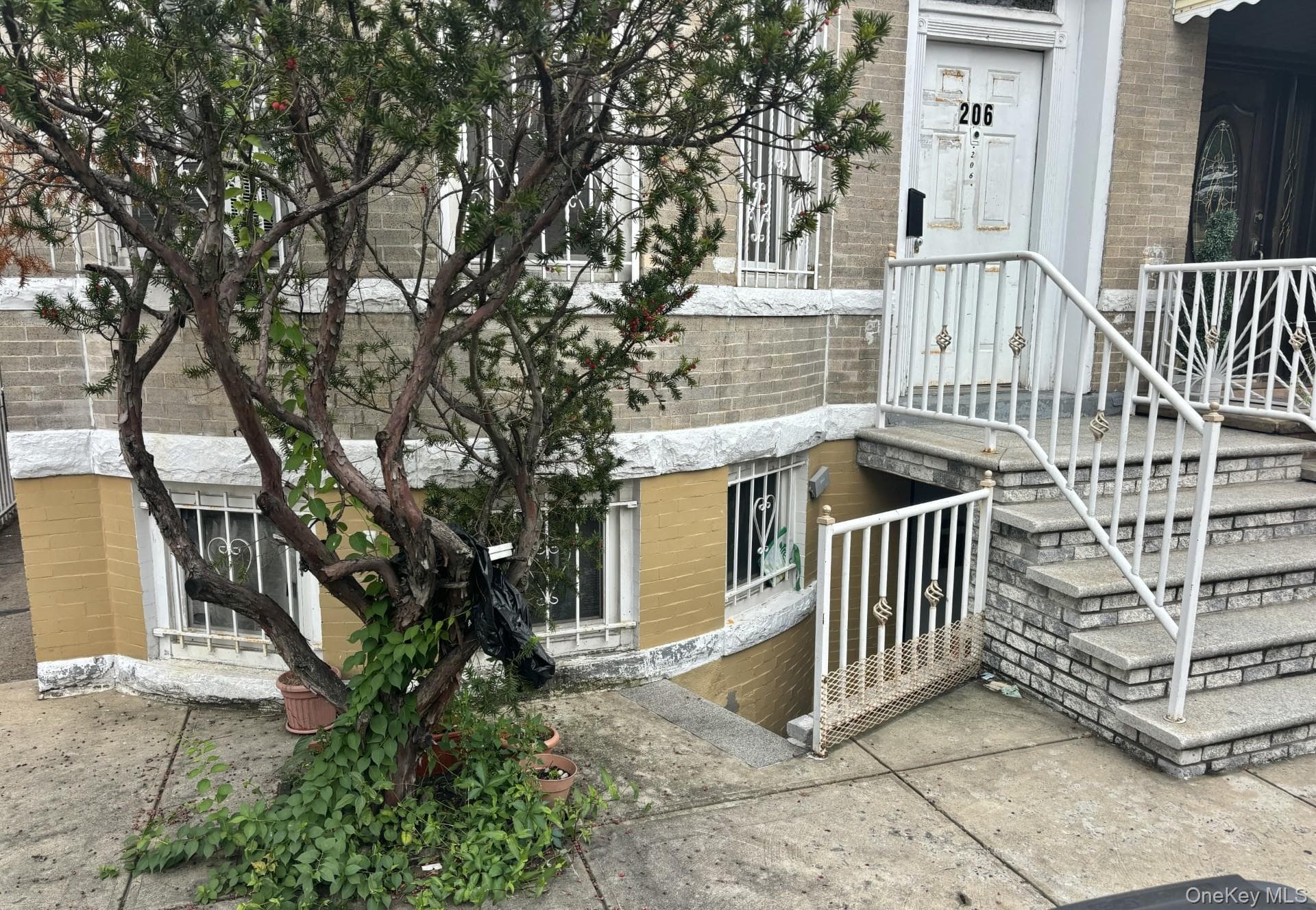 206 Logan Street thumbnail 2
