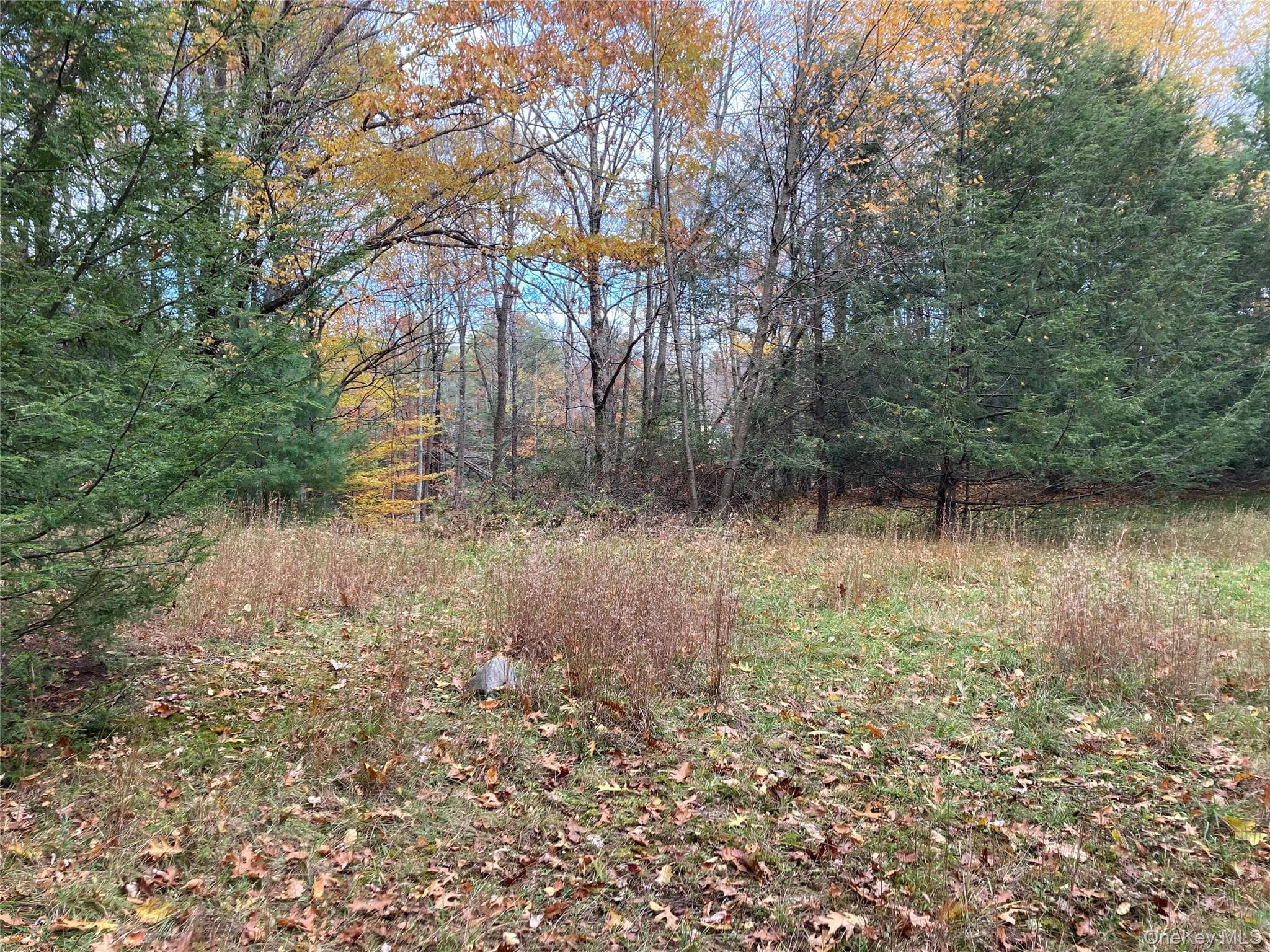 403 & 405 Rock Hill Drive thumbnail 6