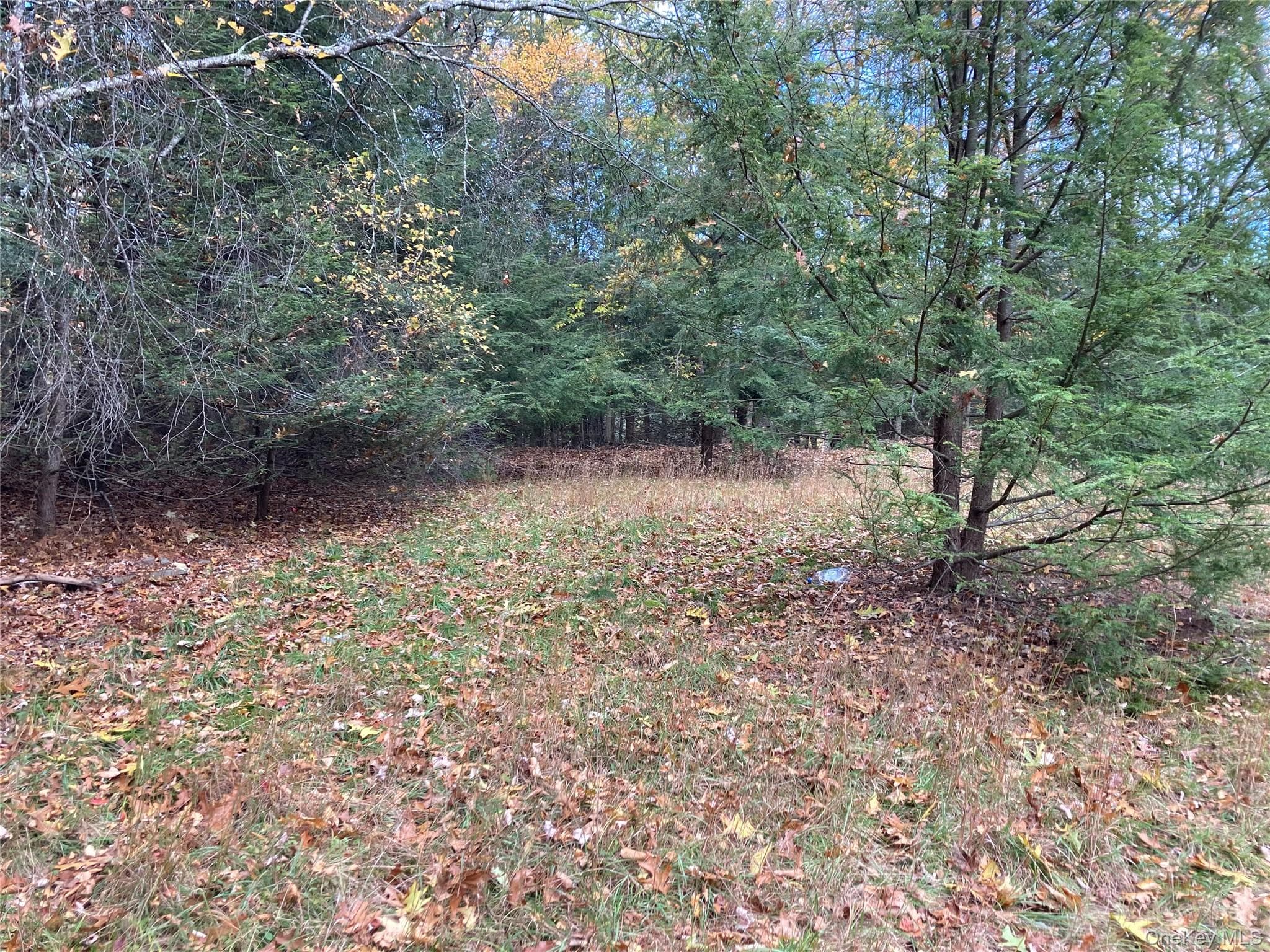 403 & 405 Rock Hill Drive thumbnail 7