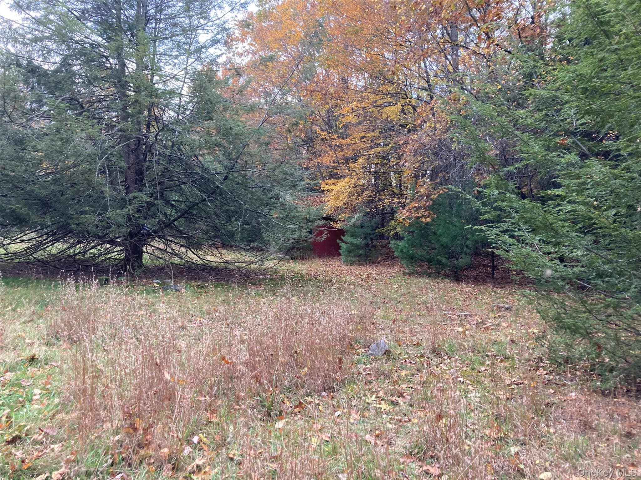 403 & 405 Rock Hill Drive thumbnail 9