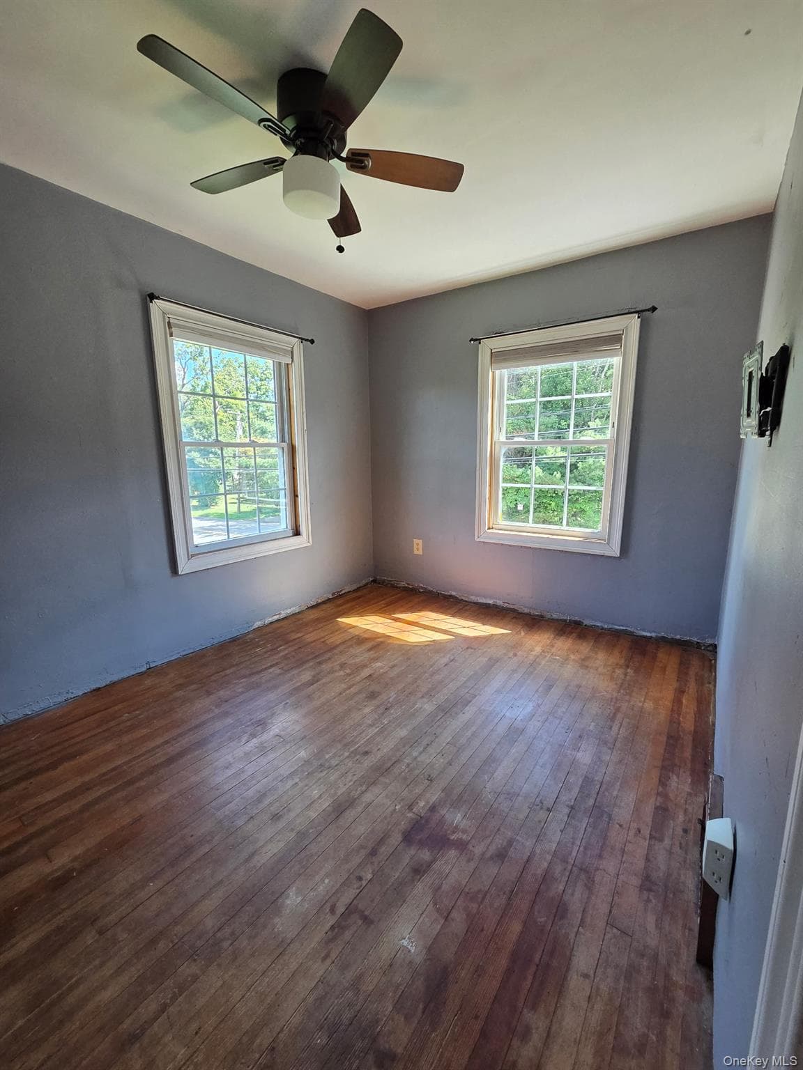295 Lucas Avenue thumbnail 26