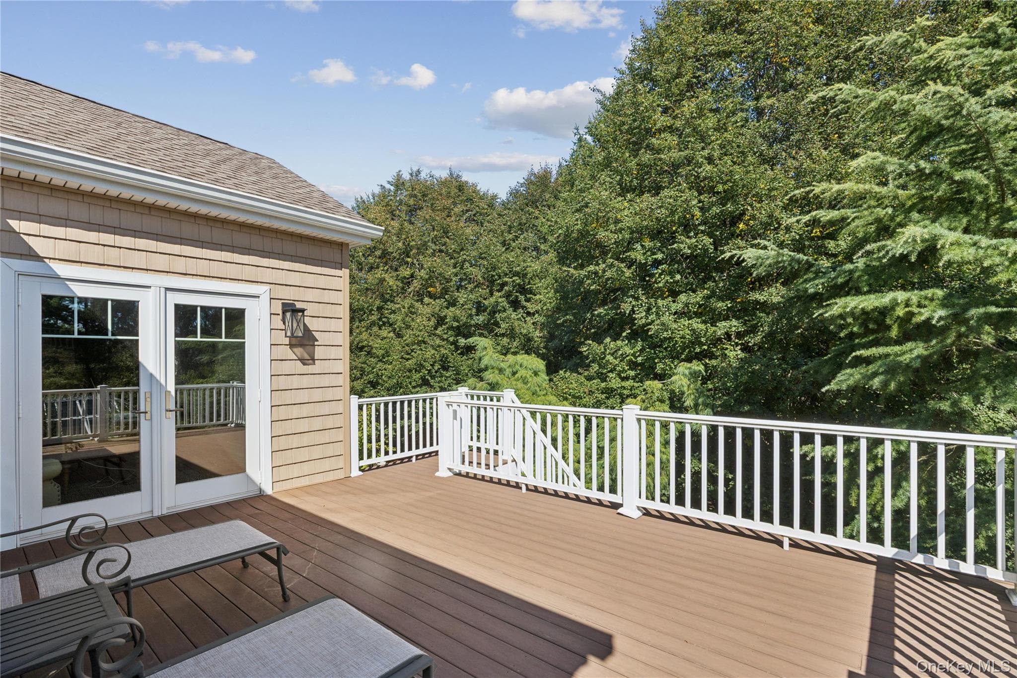 14 Esmond Avenue thumbnail 31