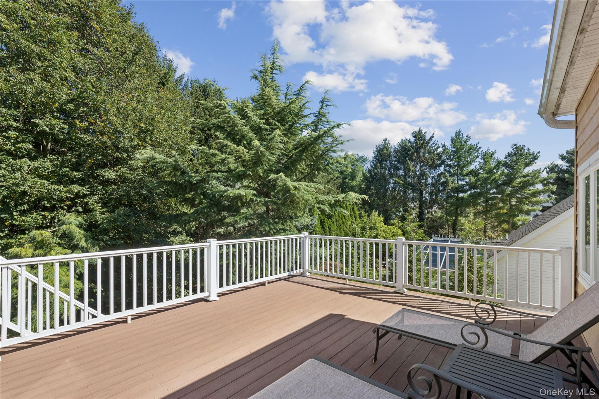 14 Esmond Avenue thumbnail 32