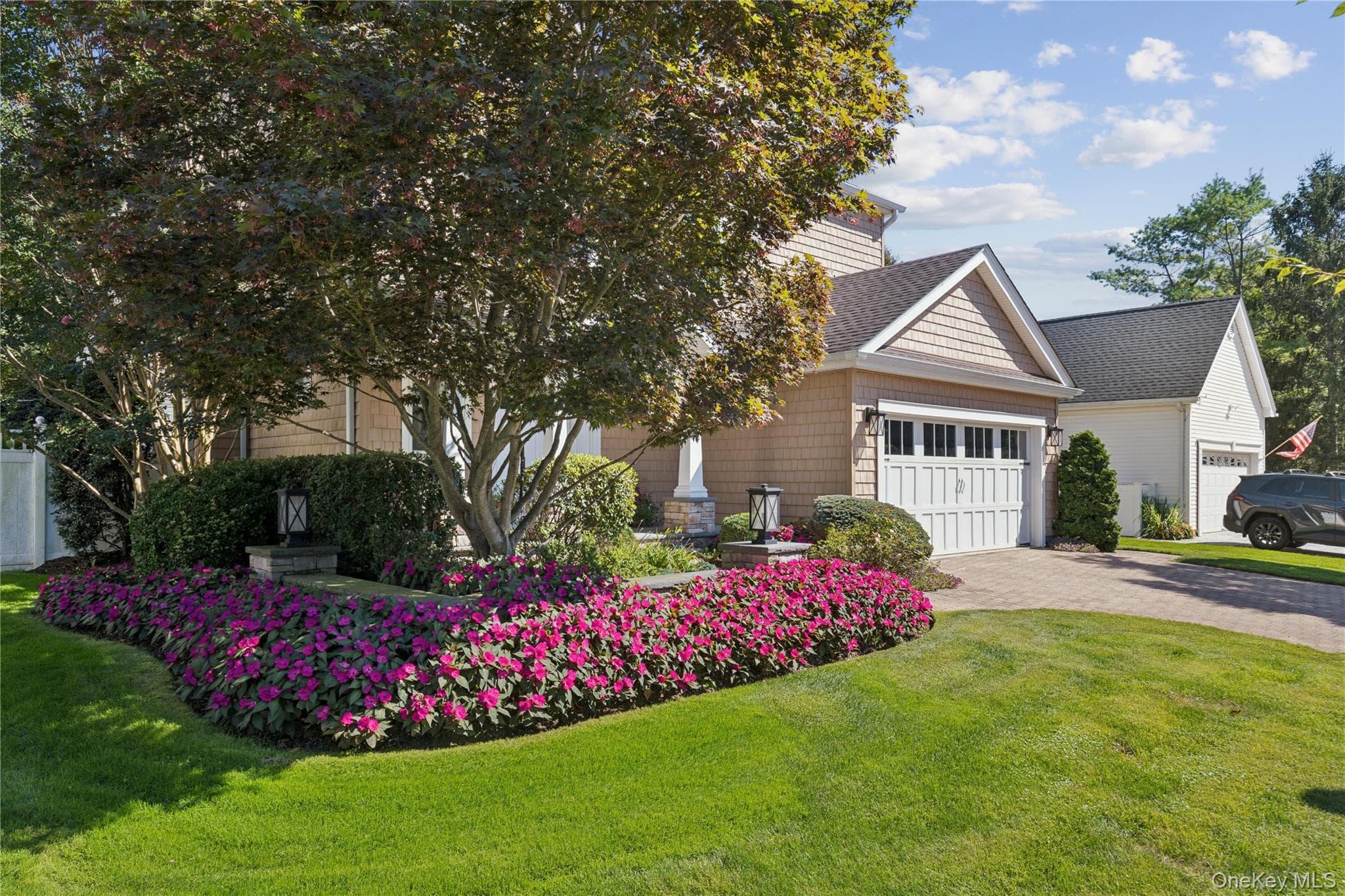 14 Esmond Avenue thumbnail 37