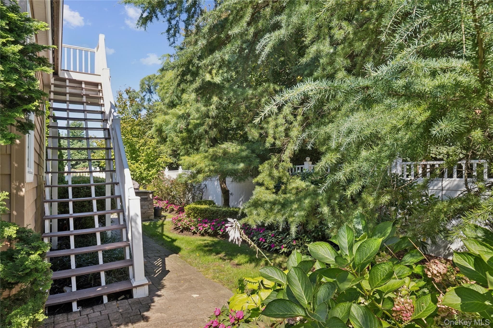 14 Esmond Avenue thumbnail 33