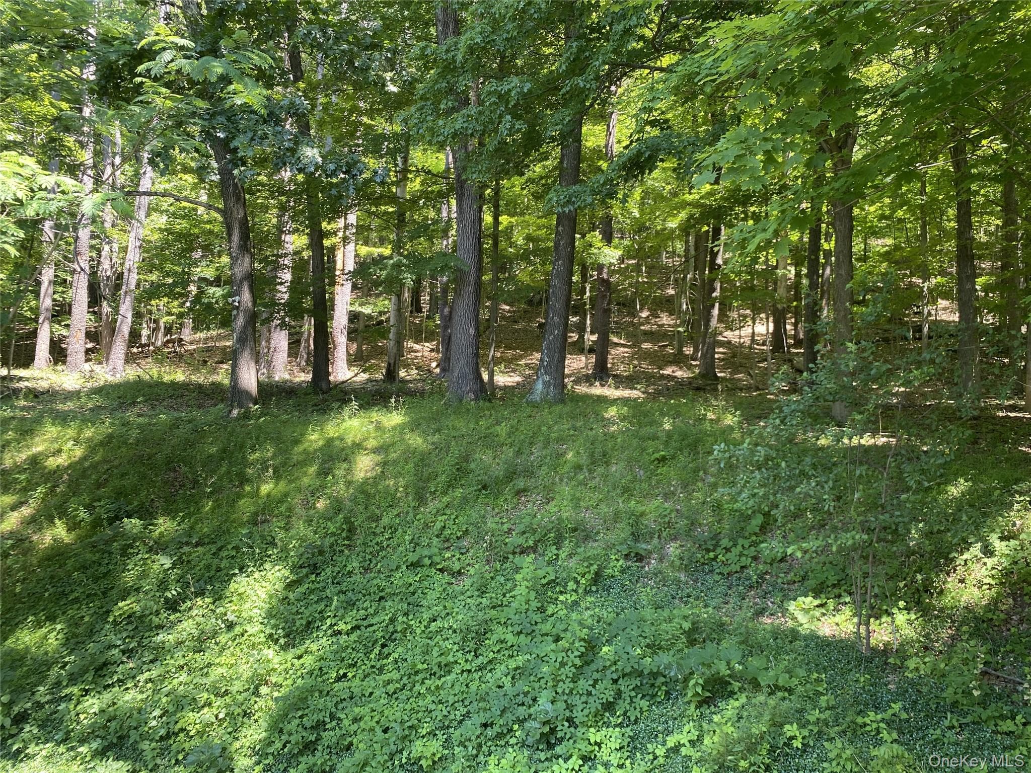 696 Sawkill Road thumbnail 46