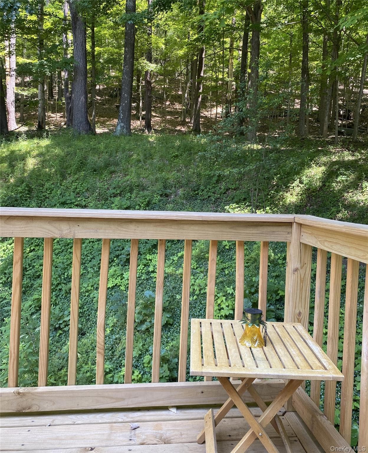 696 Sawkill Road thumbnail 41