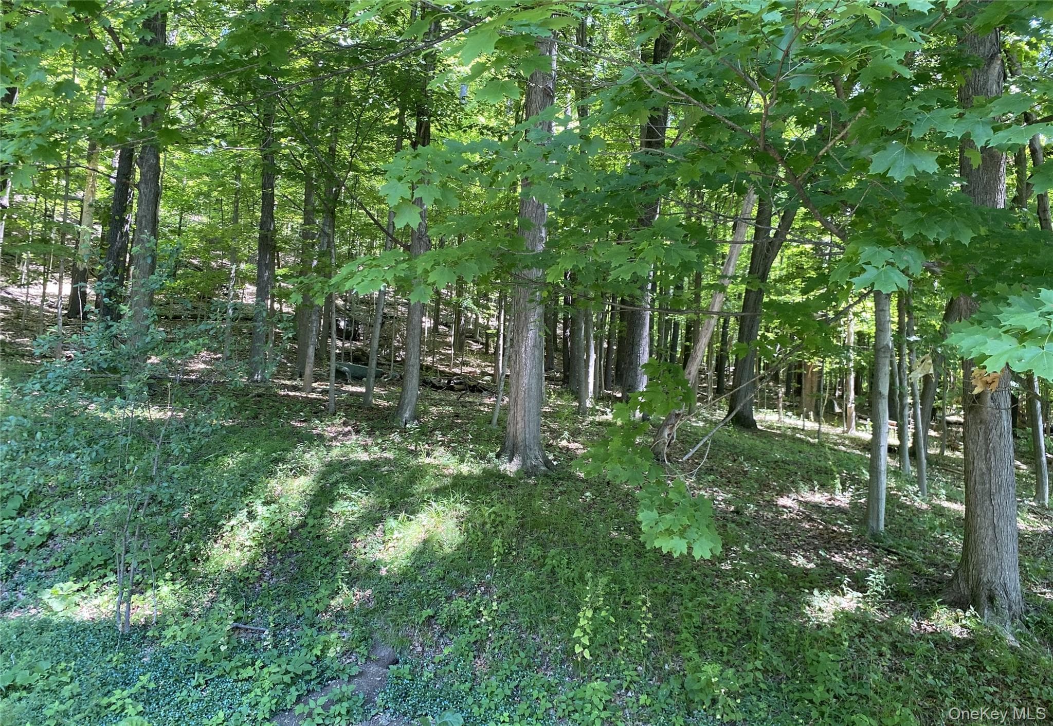 696 Sawkill Road thumbnail 47