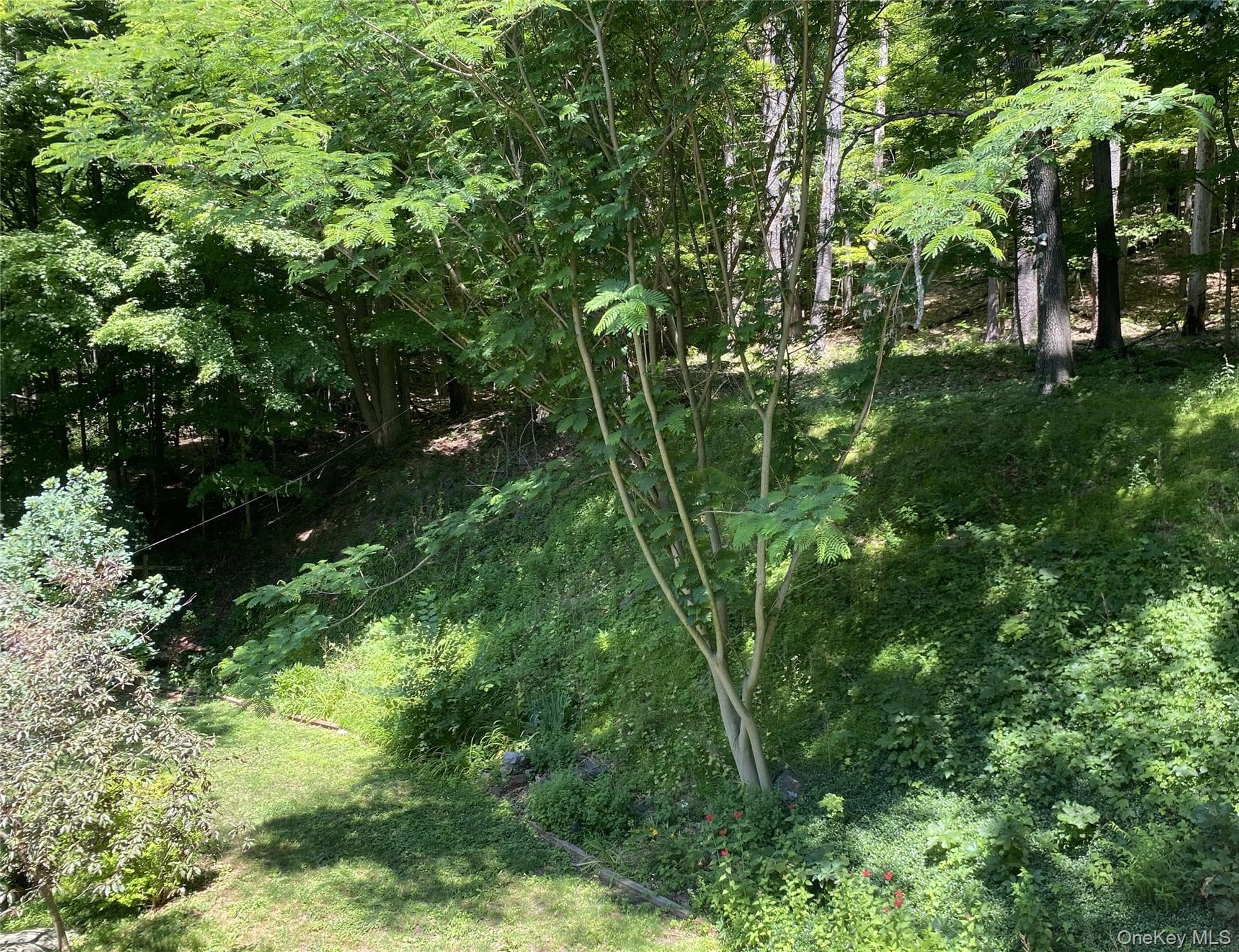 696 Sawkill Road thumbnail 45