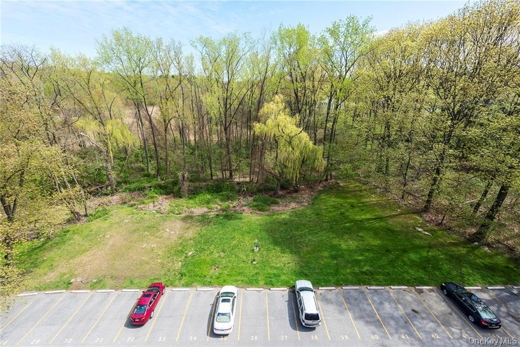 1133 Midland Avenue Unit: 1C thumbnail 17