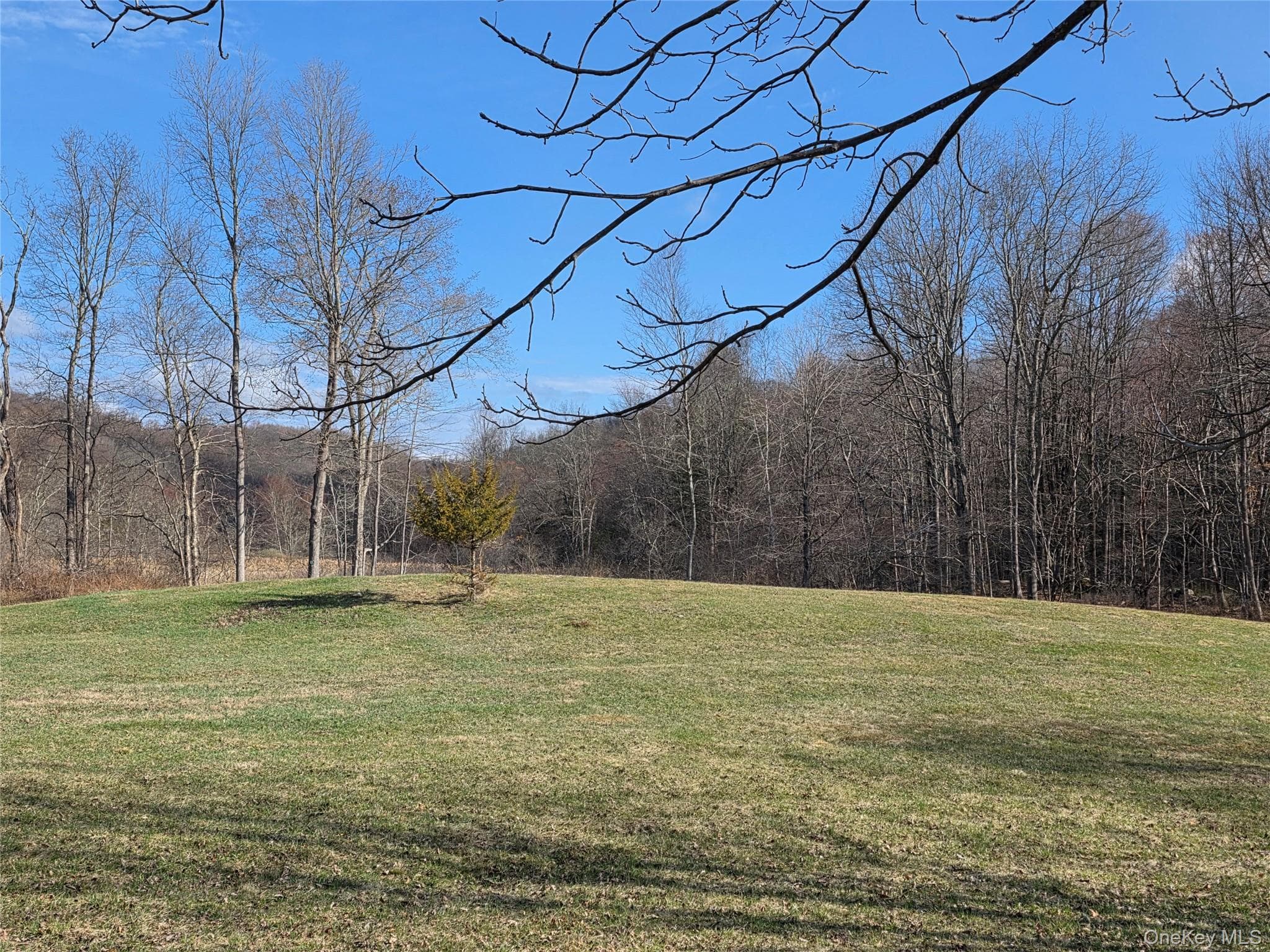 8 Taber Lot 1 Road thumbnail 15