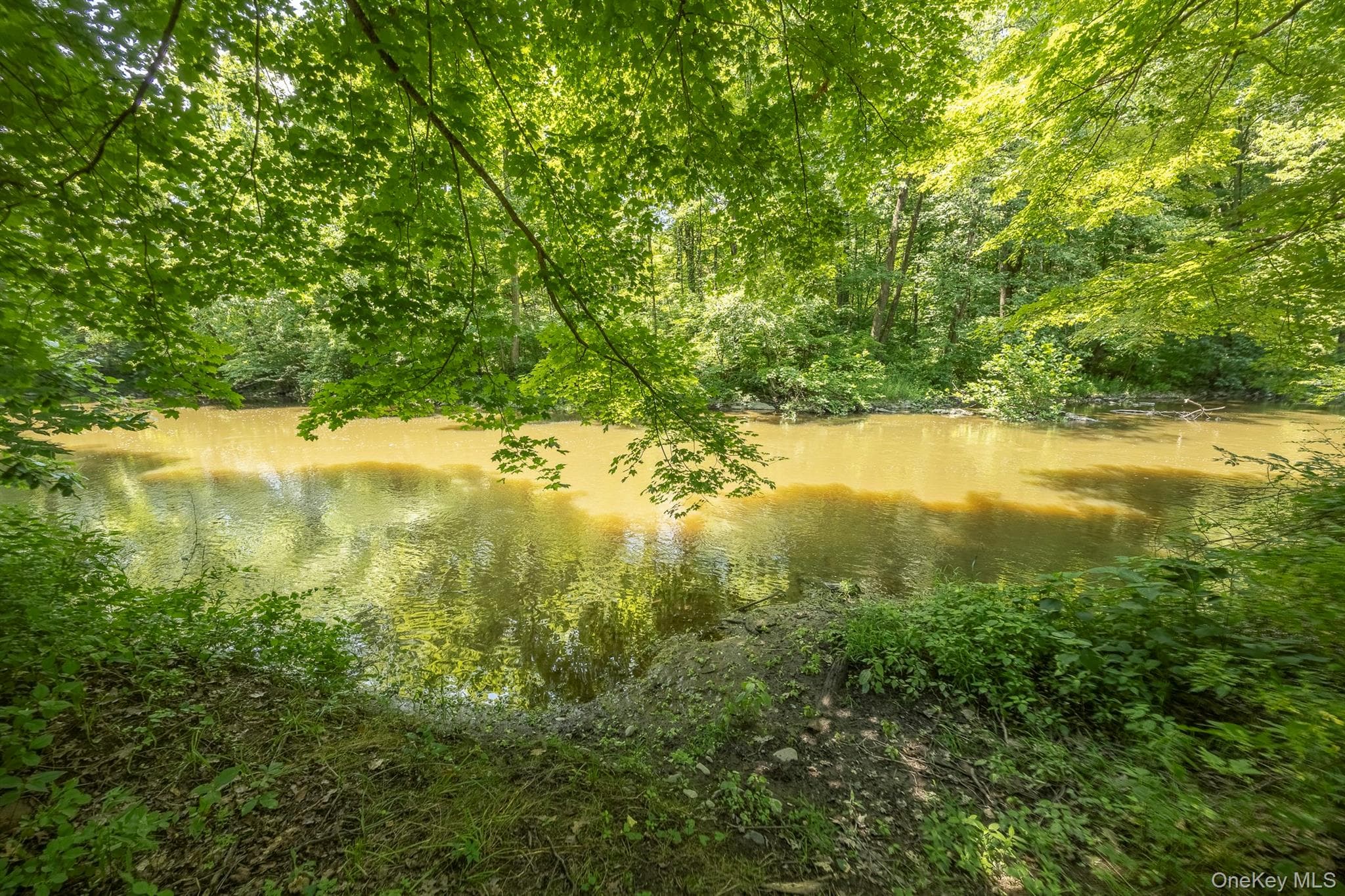 13-14 Creekside Place thumbnail 11
