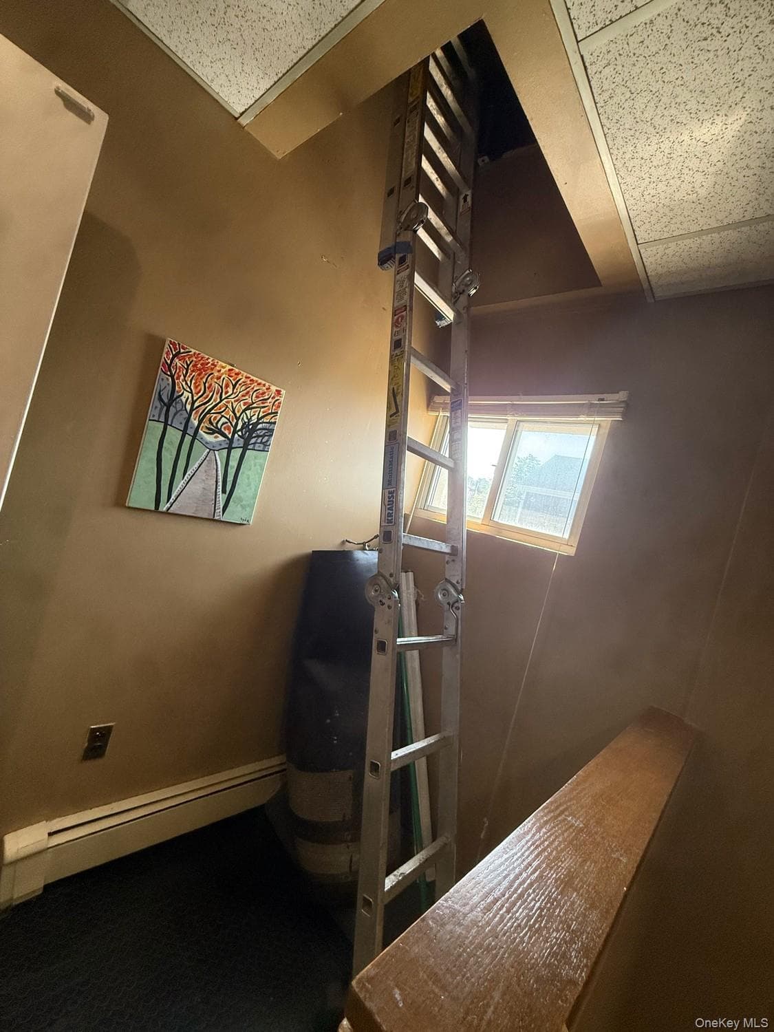 6 Lincoln Avenue thumbnail 23