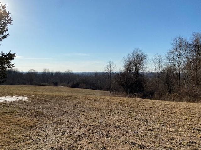Lot 69.31 Liberty Corners Road thumbnail 3