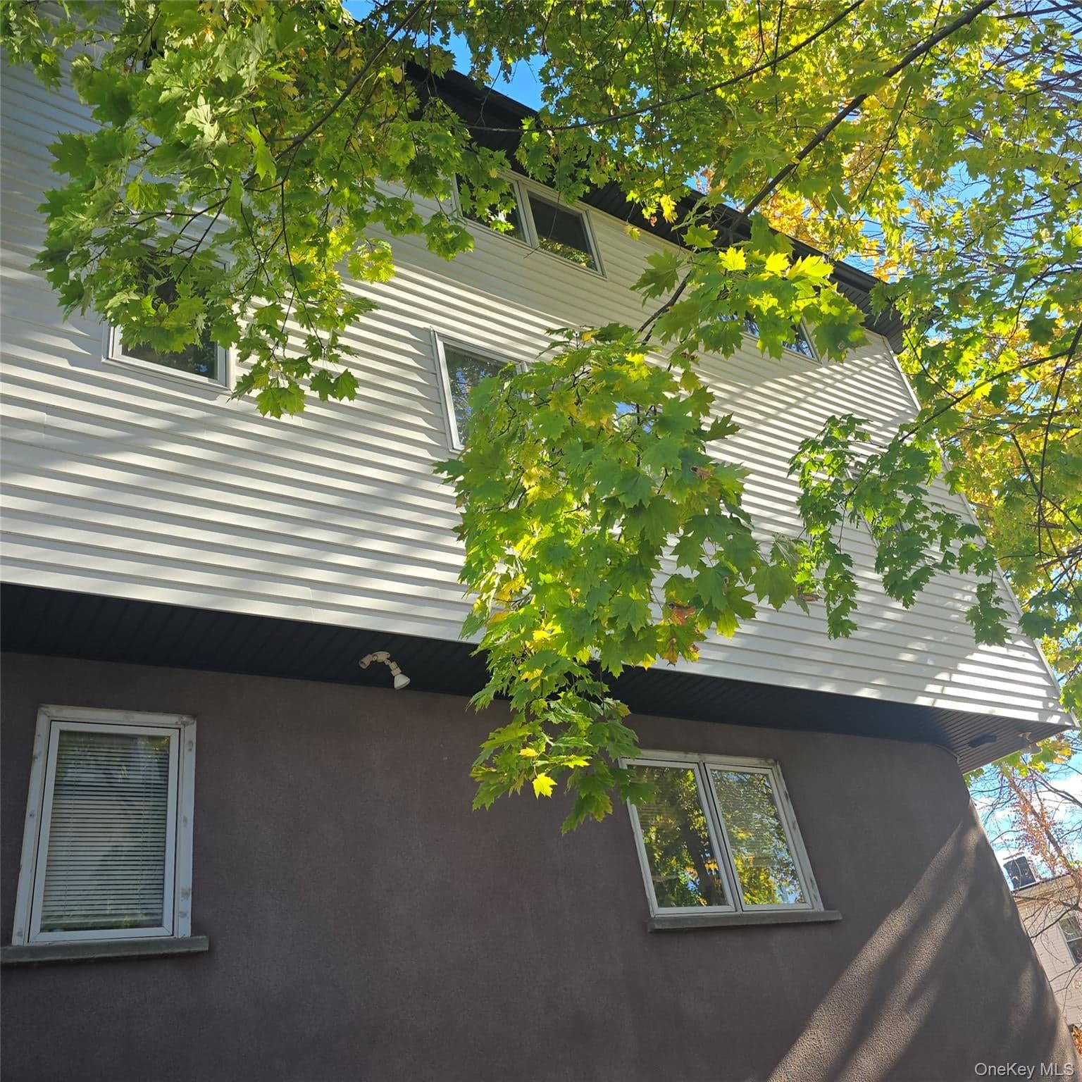 225 High Avenue thumbnail 32