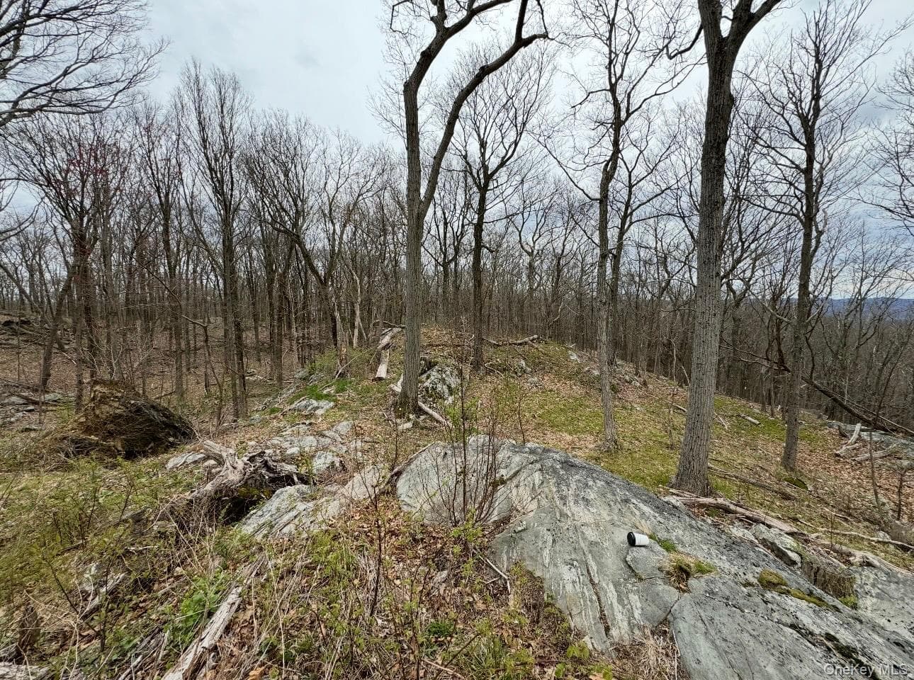 Woodmont Road thumbnail 2