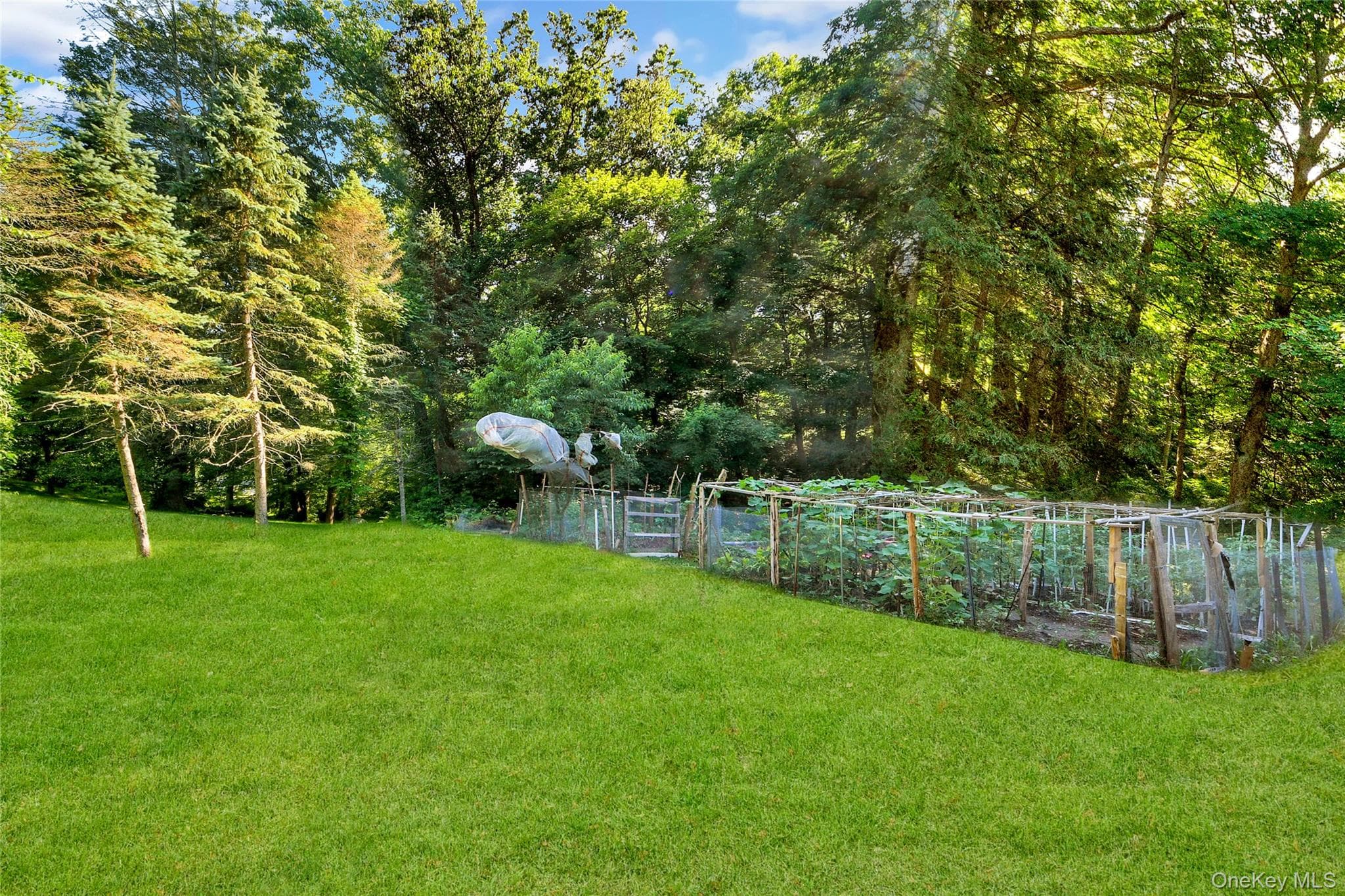 435 Birdsall Drive thumbnail 32
