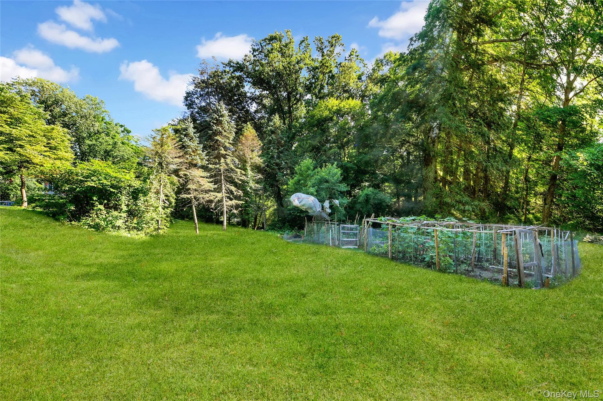 435 Birdsall Drive thumbnail 29