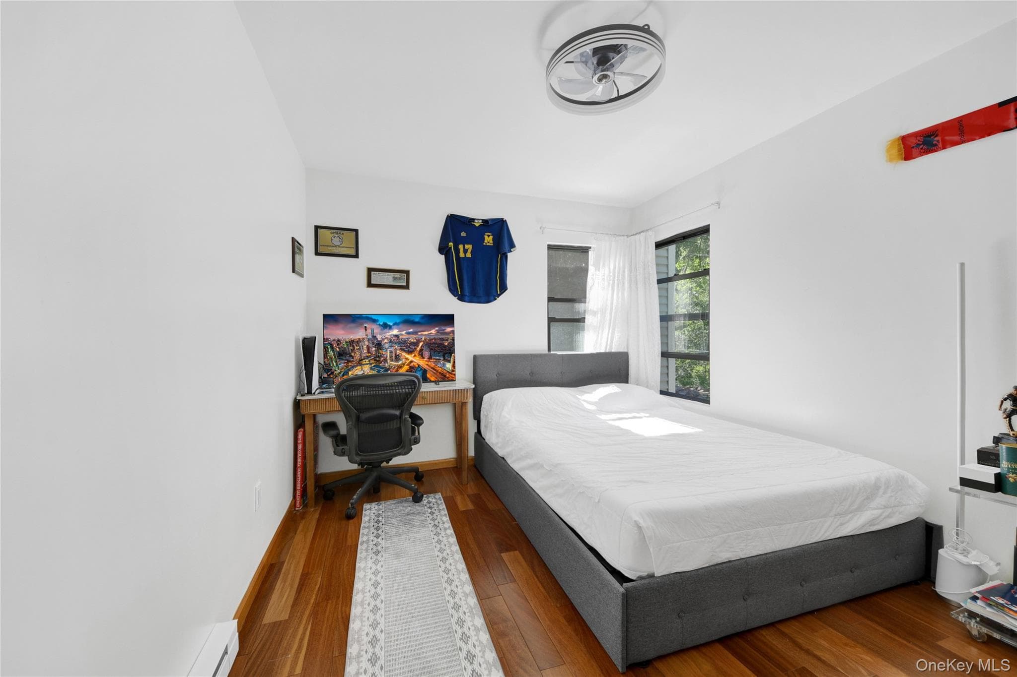 435 Birdsall Drive thumbnail 19