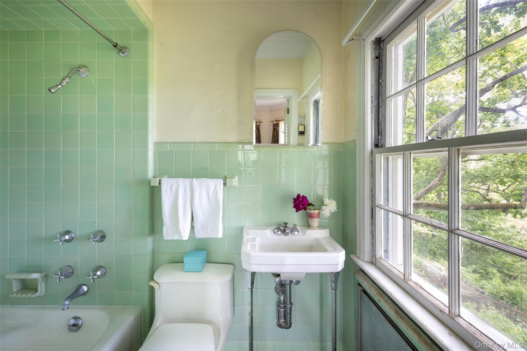 169 Albany Avenue thumbnail 44