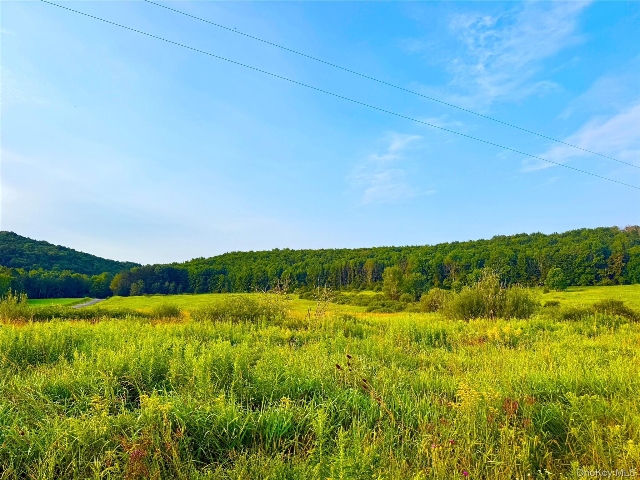 299 Walt Phillips RD thumbnail 4