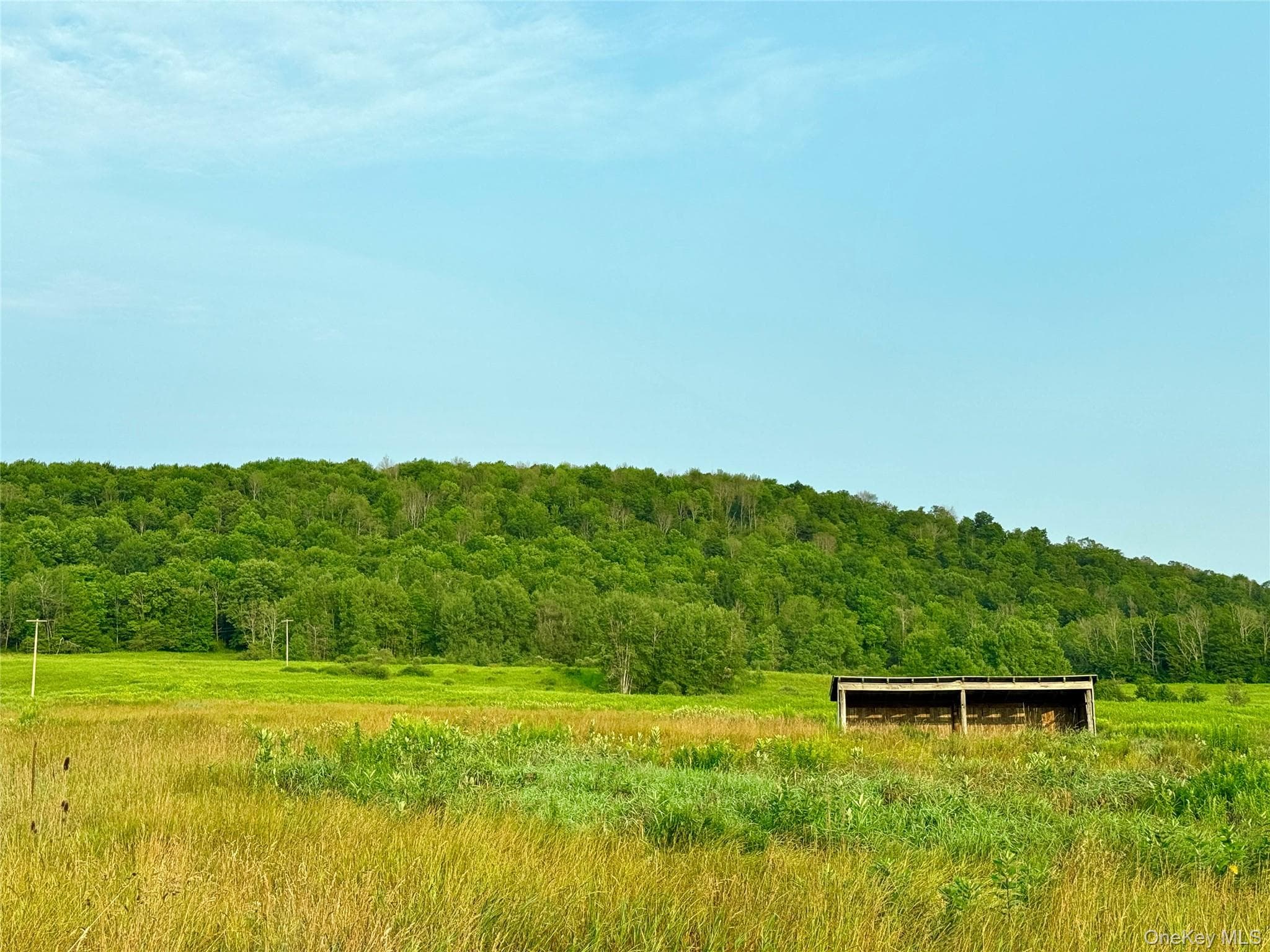 299 Walt Phillips RD thumbnail 7