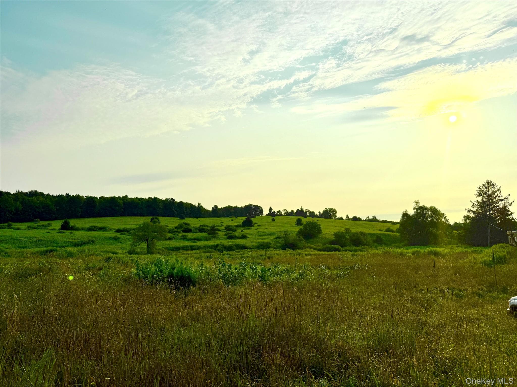 299 Walt Phillips RD thumbnail 8