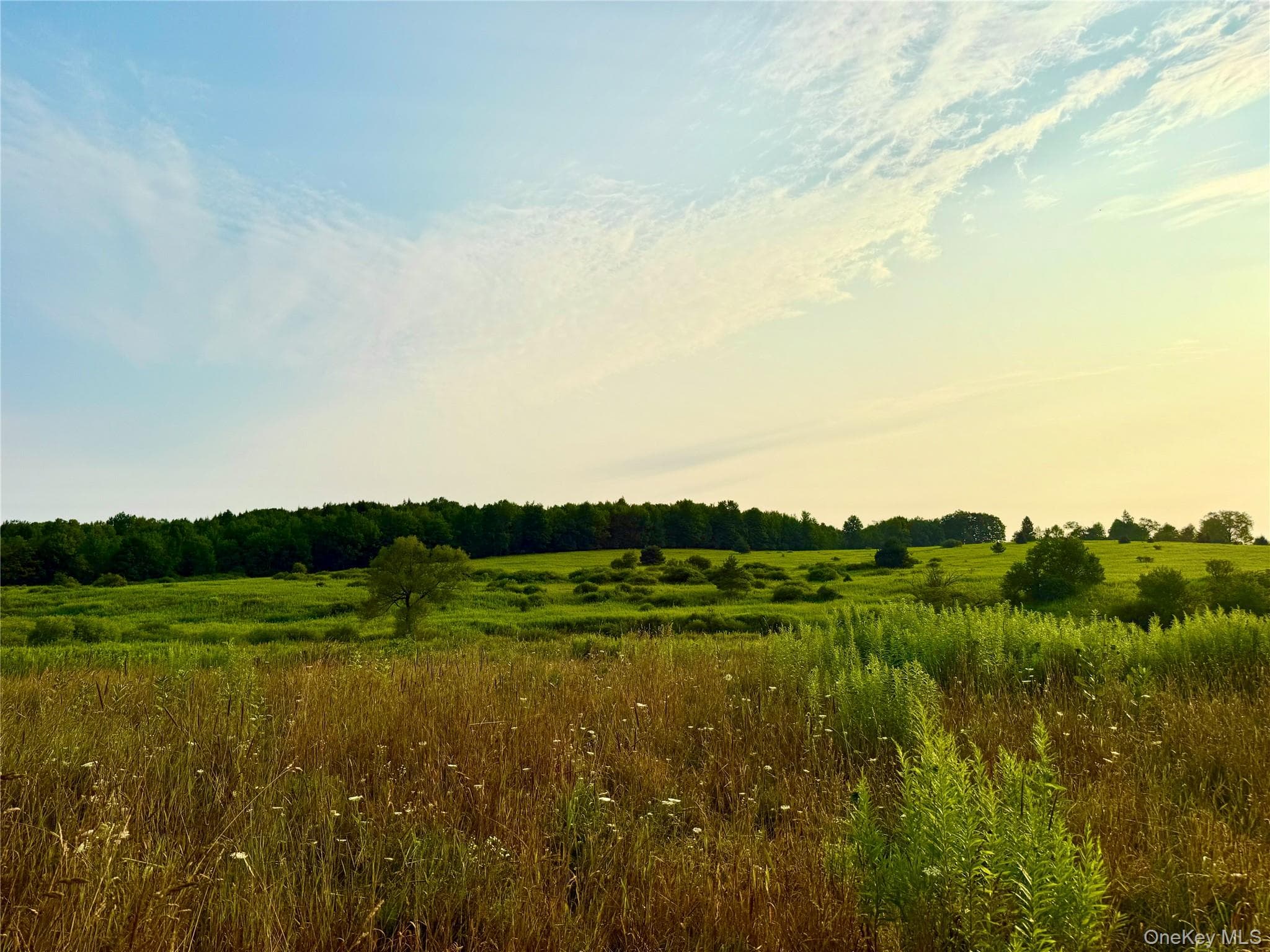299 Walt Phillips RD thumbnail 5