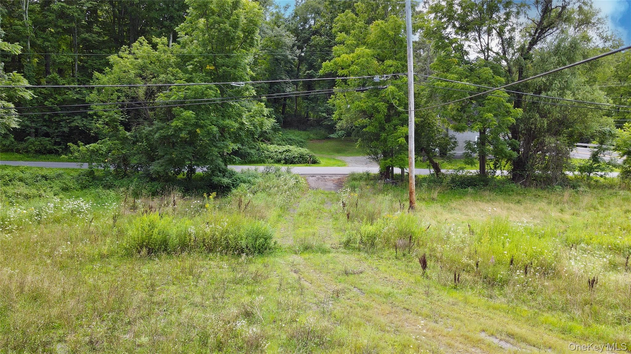 2971 State Route 209 thumbnail 4