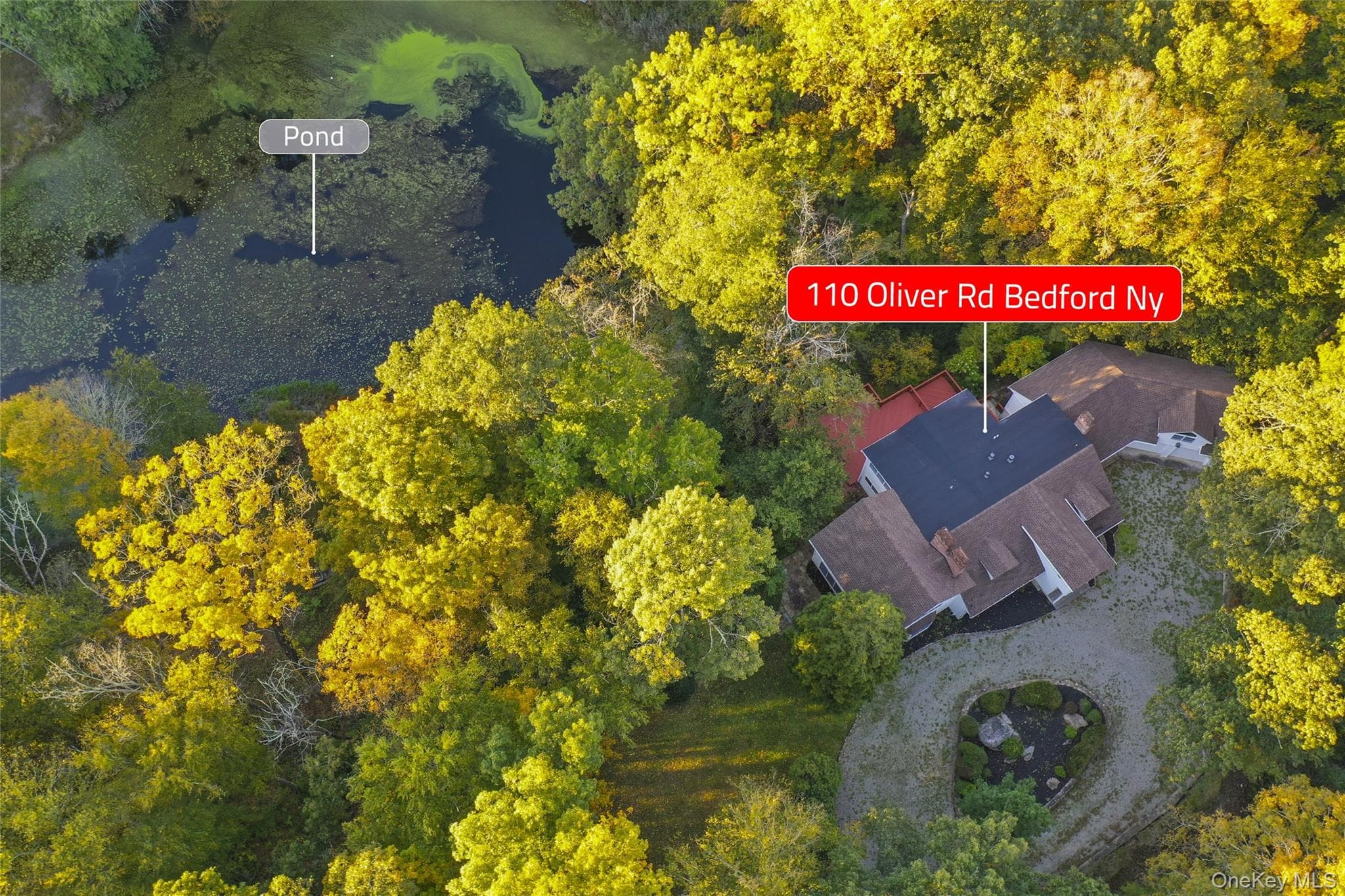 110 Oliver Road thumbnail 7
