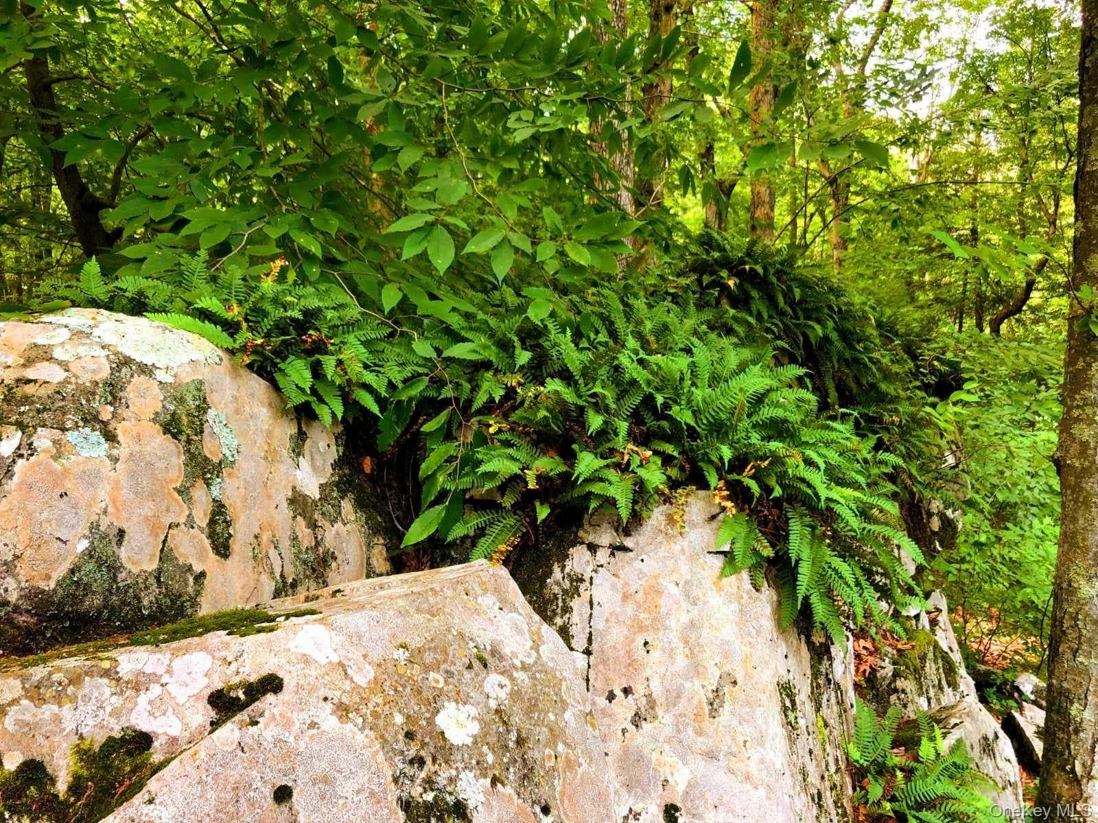 30 Old East Road thumbnail 7