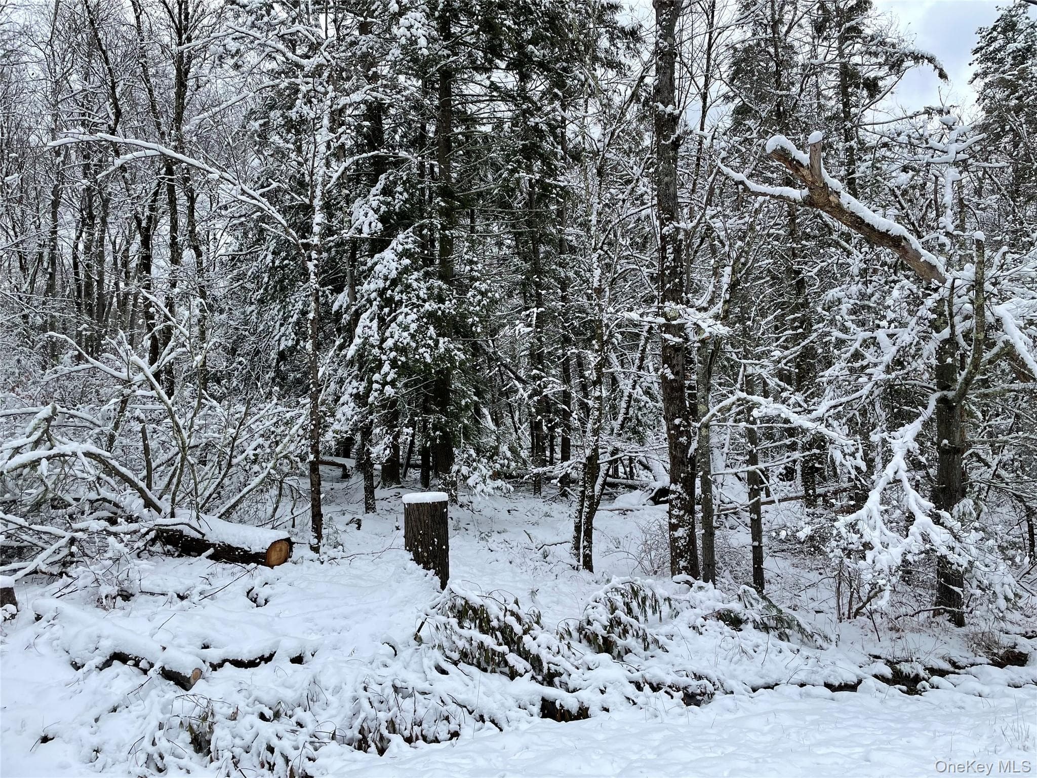 1315 Sackett Lake Rd RD thumbnail 25