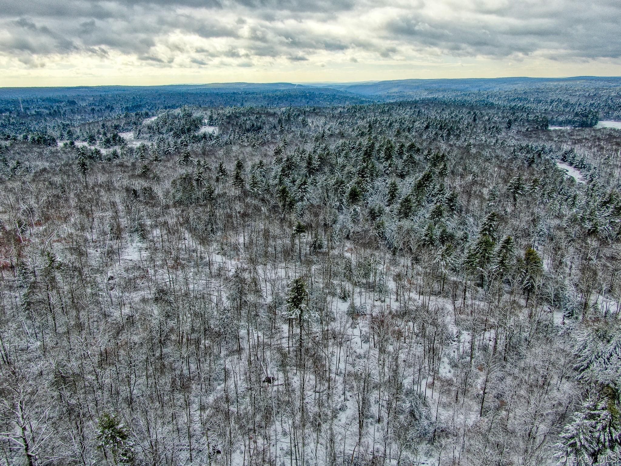 1315 Sackett Lake Rd RD thumbnail 15